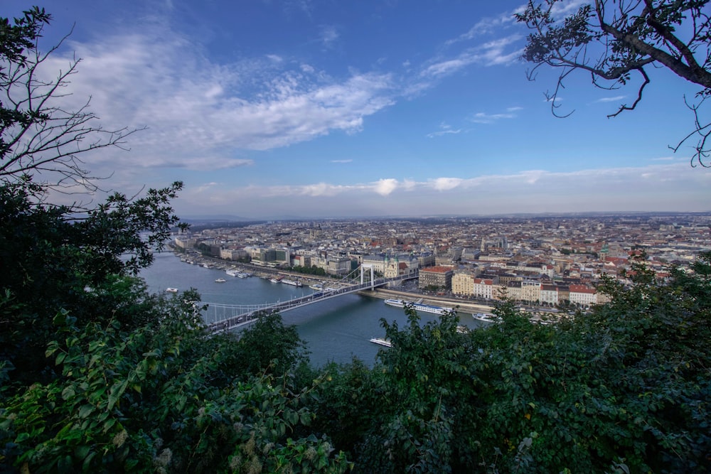 a view of a city and a bridge from a hill