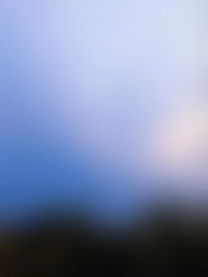 Image of a smooth animated transition between platform features on a mobile device.