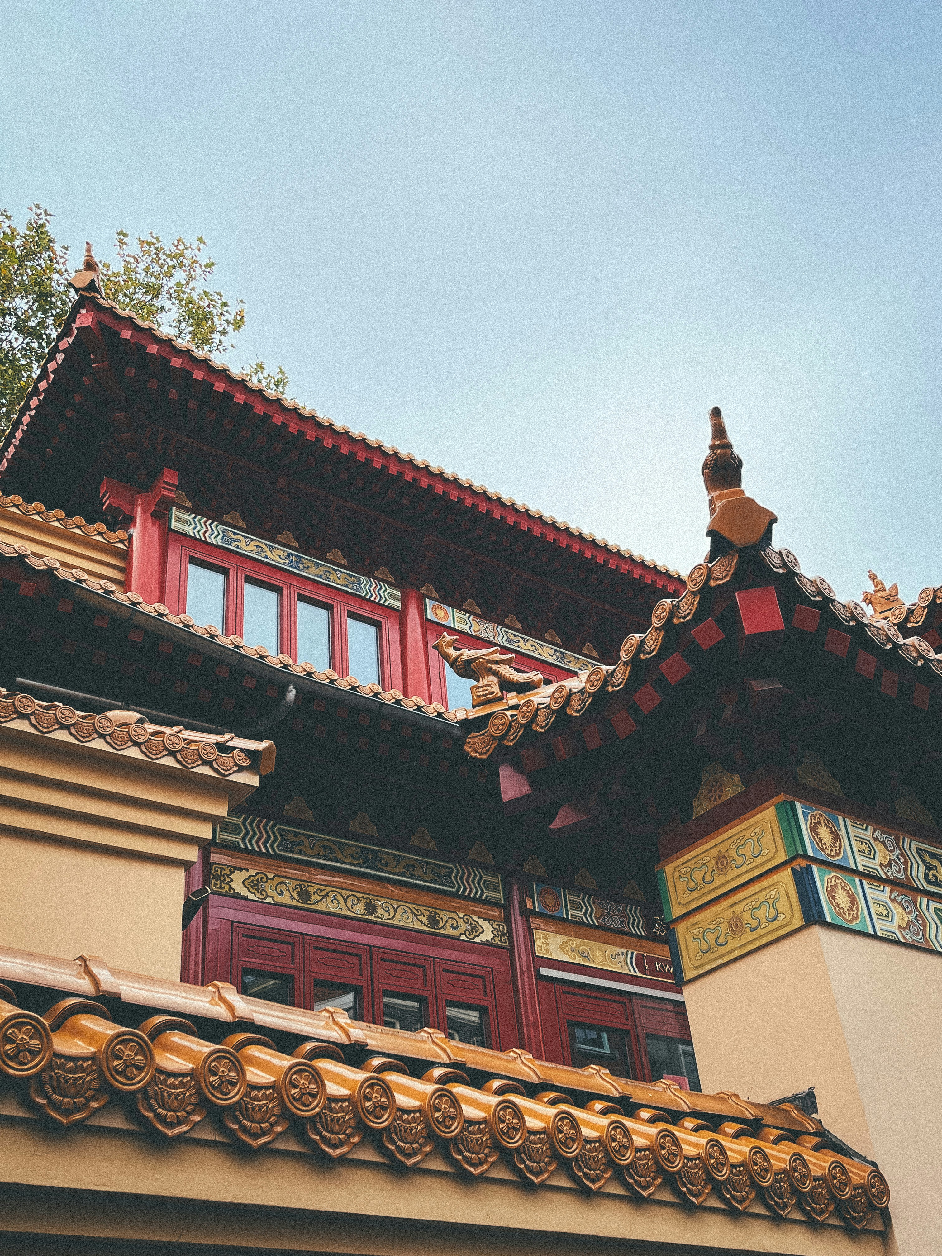 Photo by thealadeener