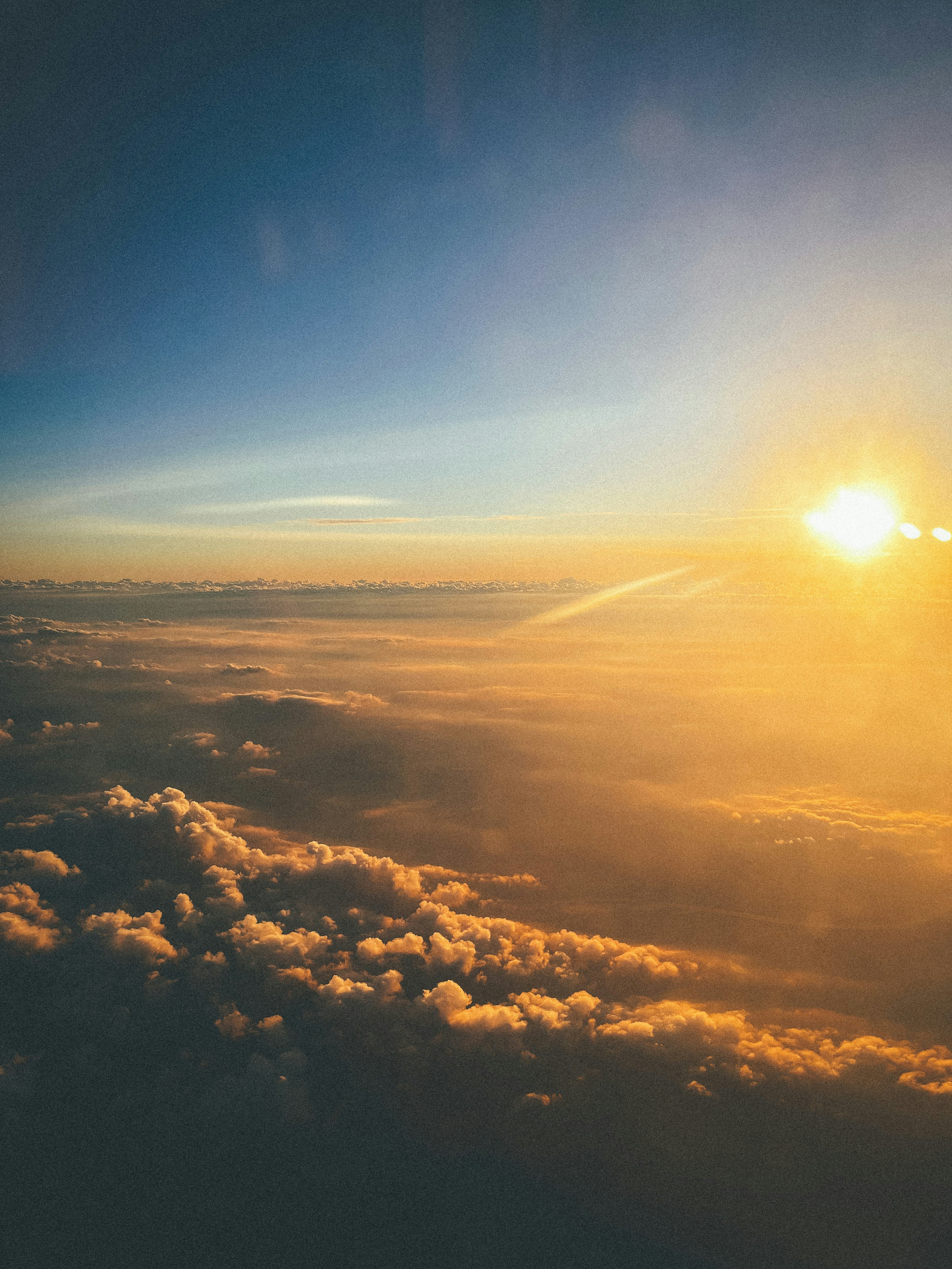 Photo by thealadeener