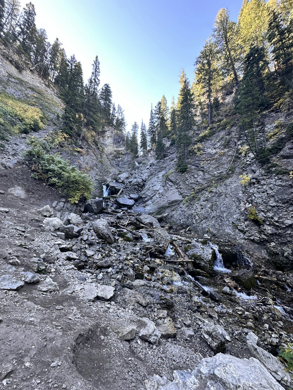 a rocky river running through a forest filled with trees