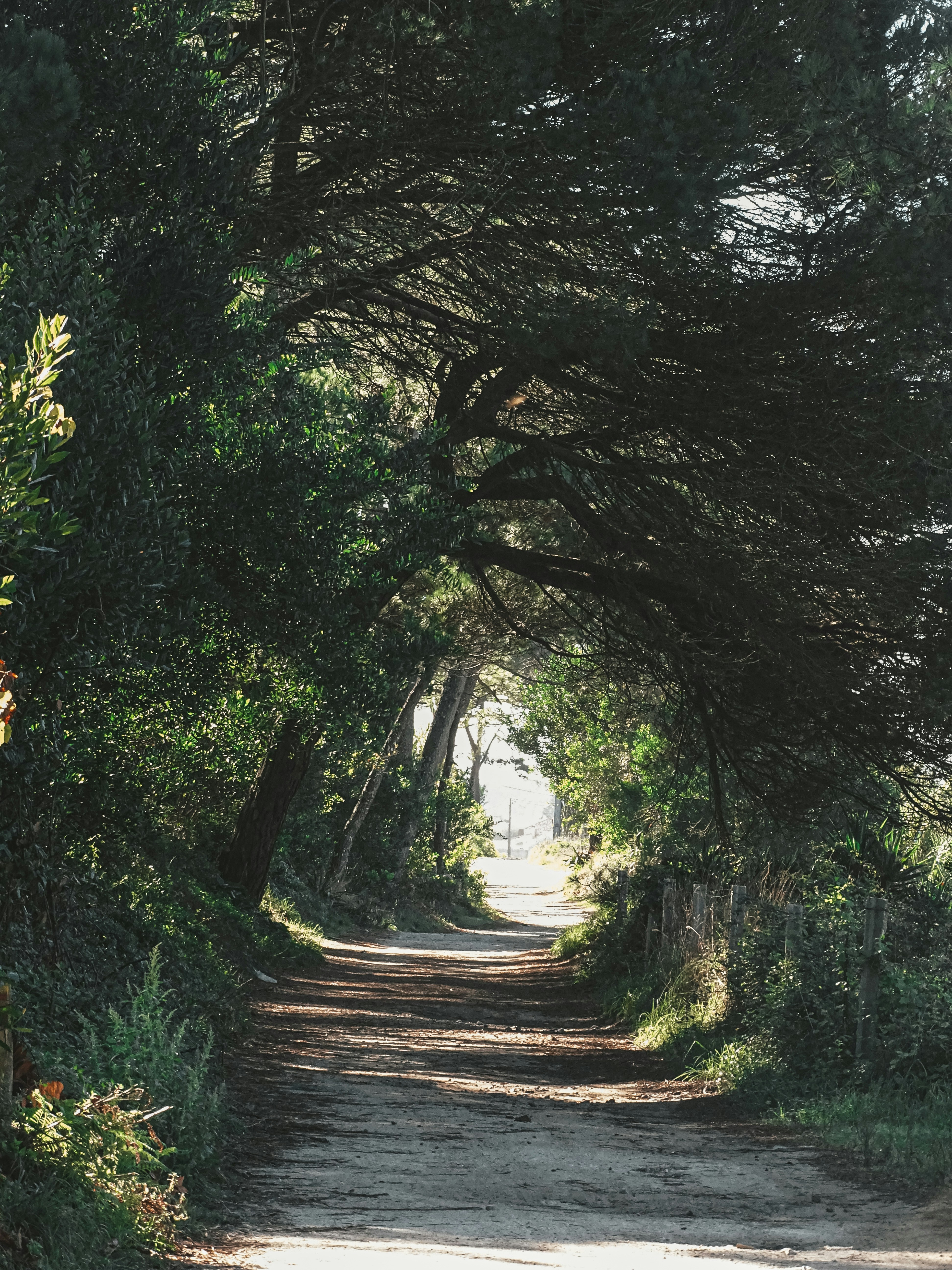 Photo by phozebyzemachado