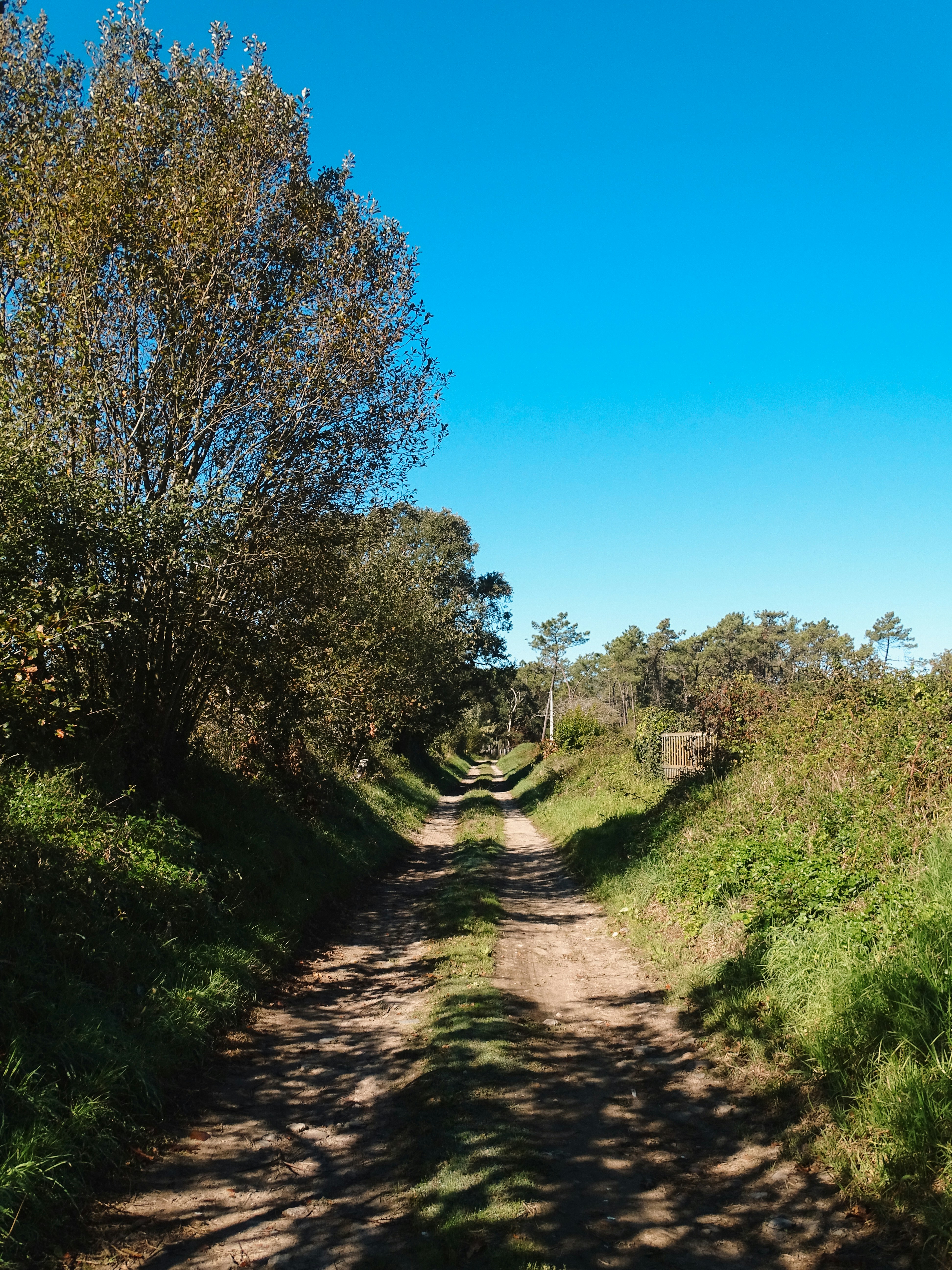 Photo by phozebyzemachado