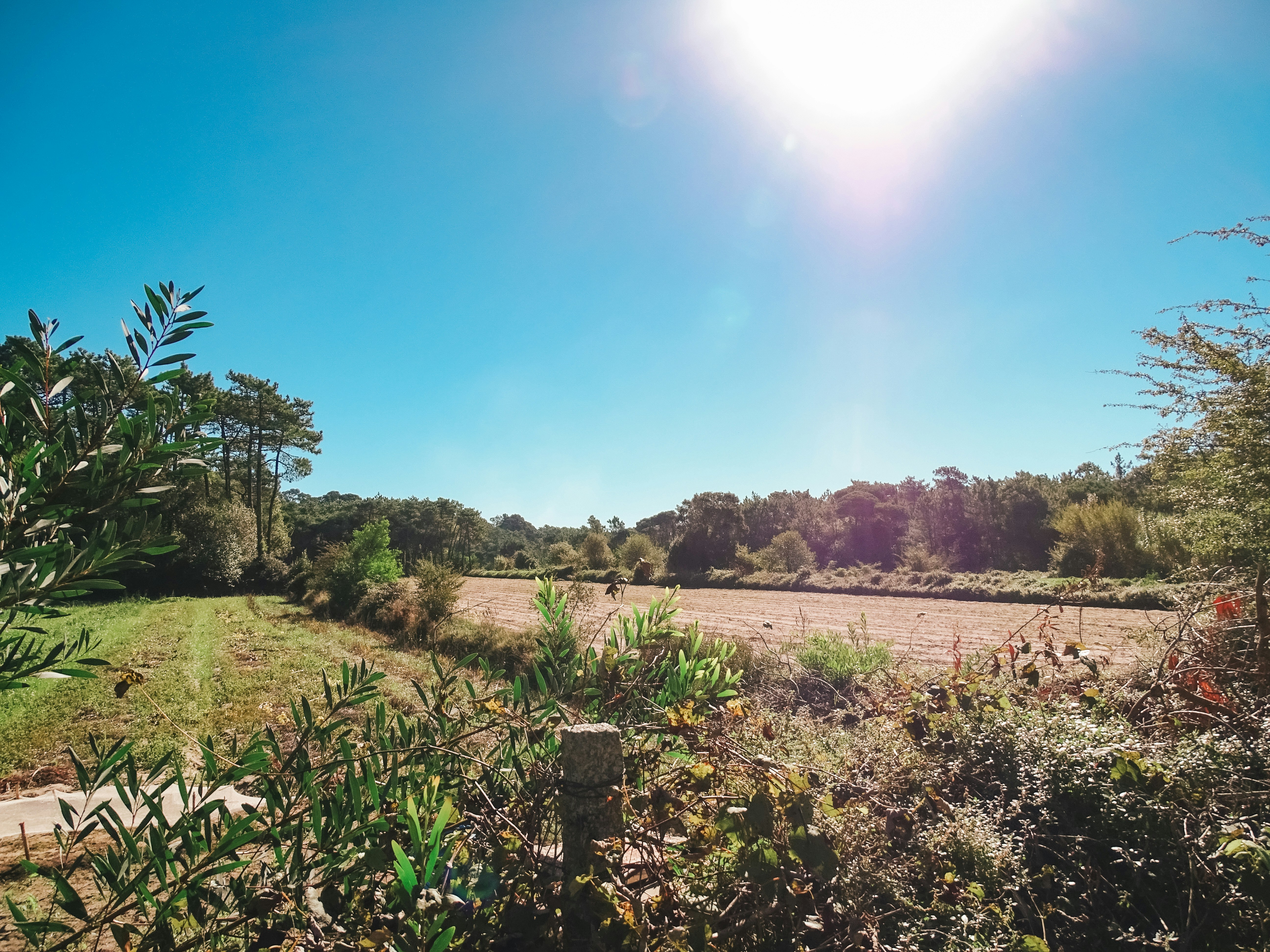 Photo by phozebyzemachado