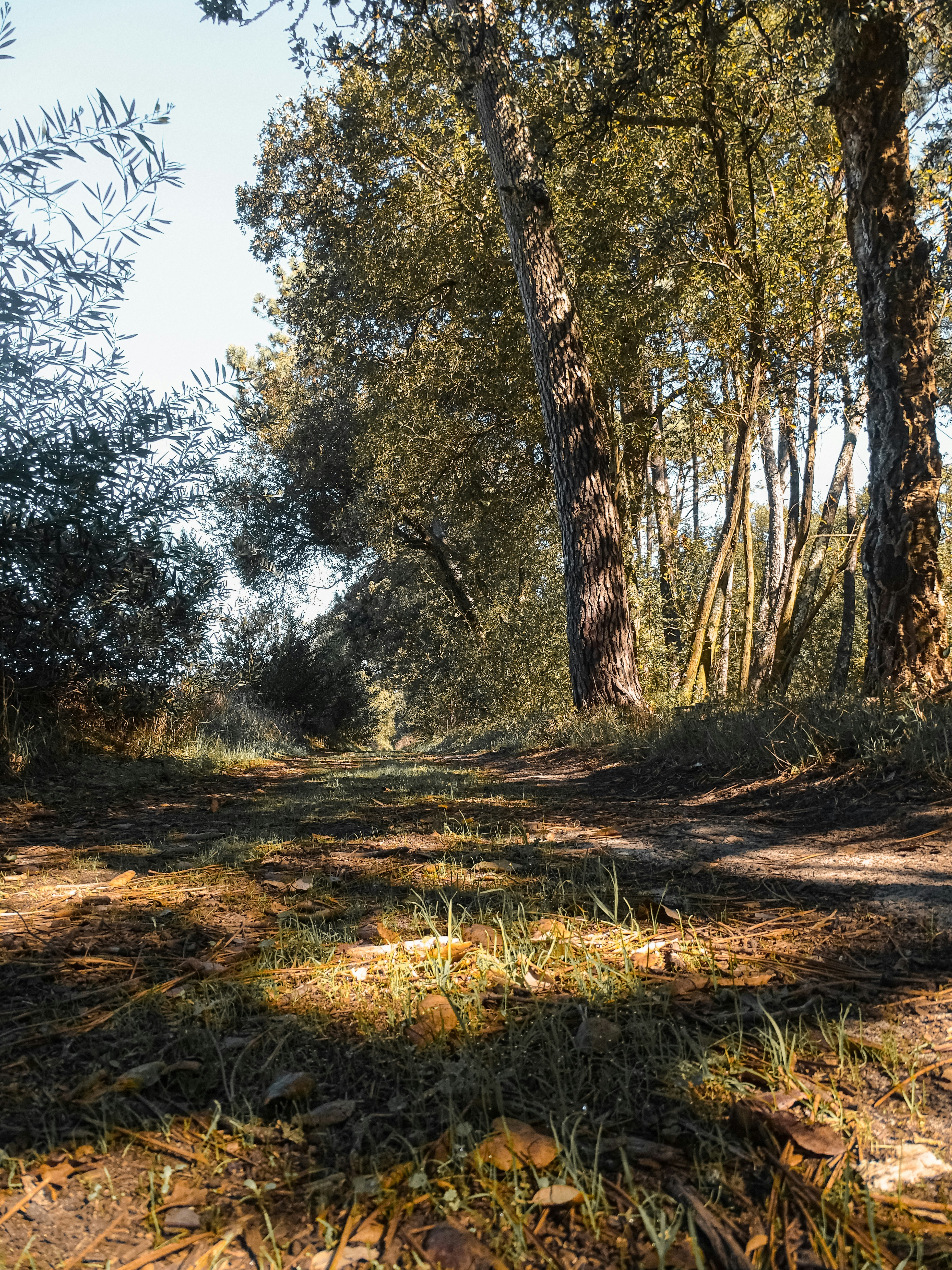 Photo by phozebyzemachado