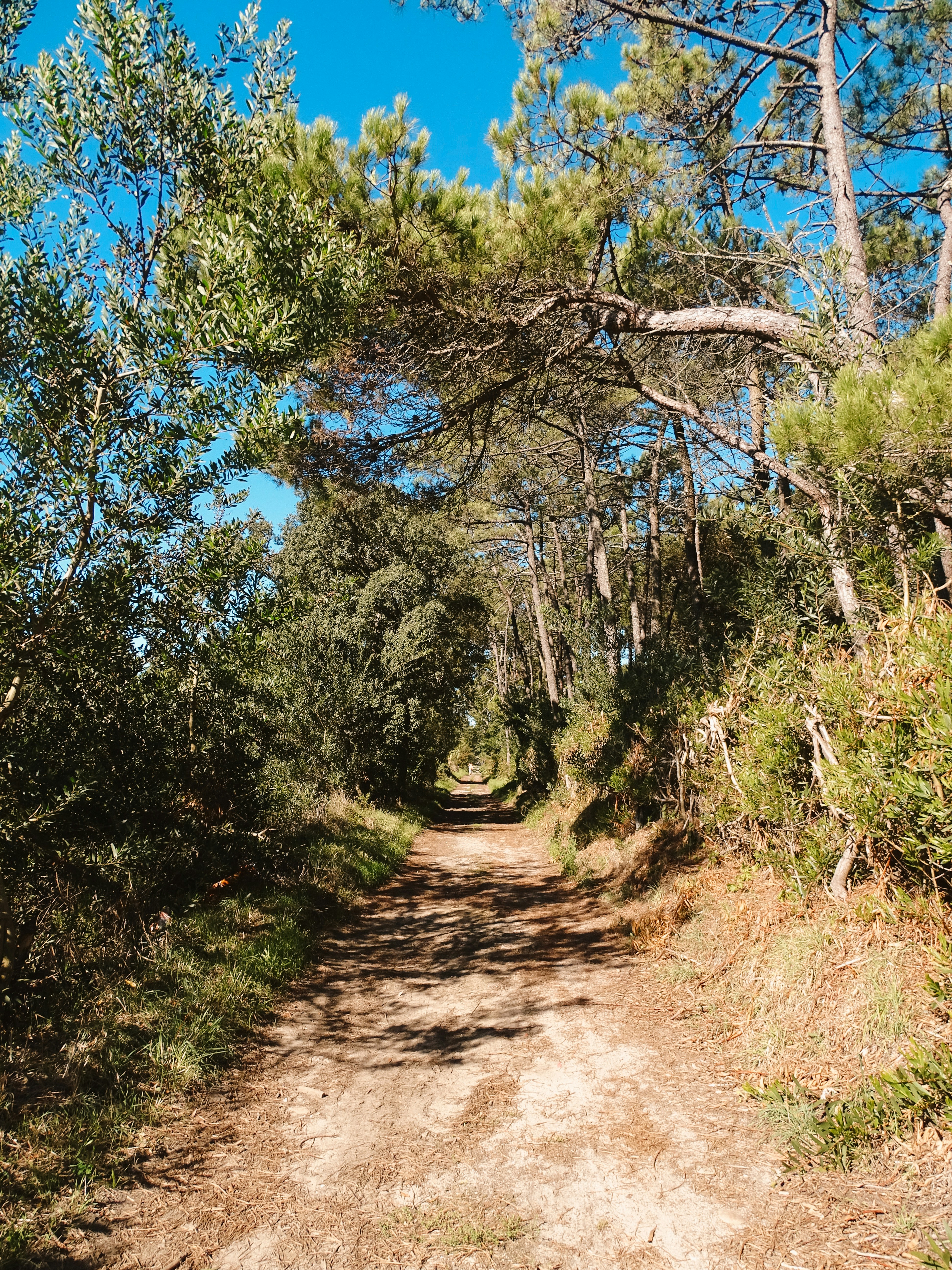 Photo by phozebyzemachado