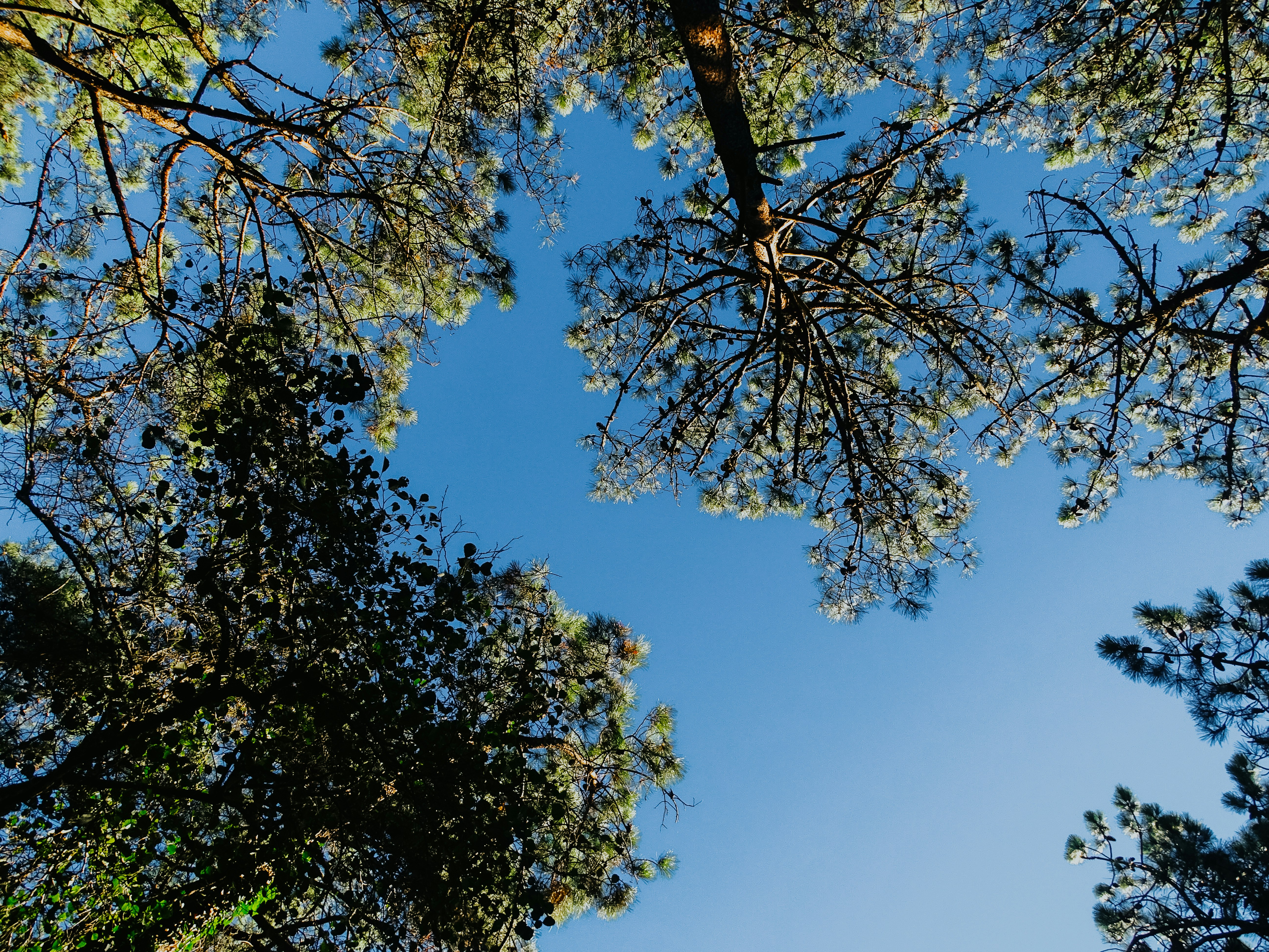 Photo by phozebyzemachado