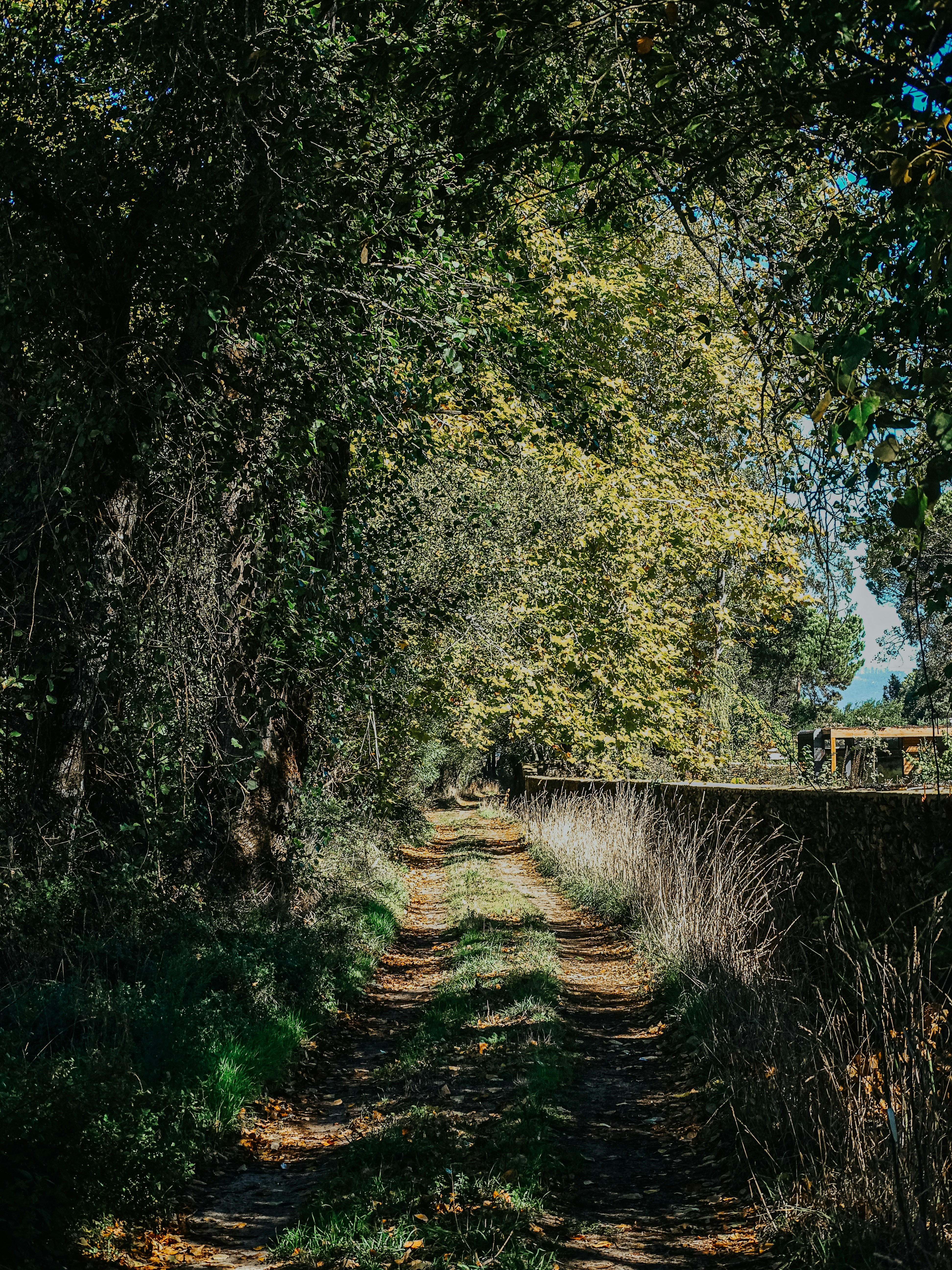 Photo by phozebyzemachado