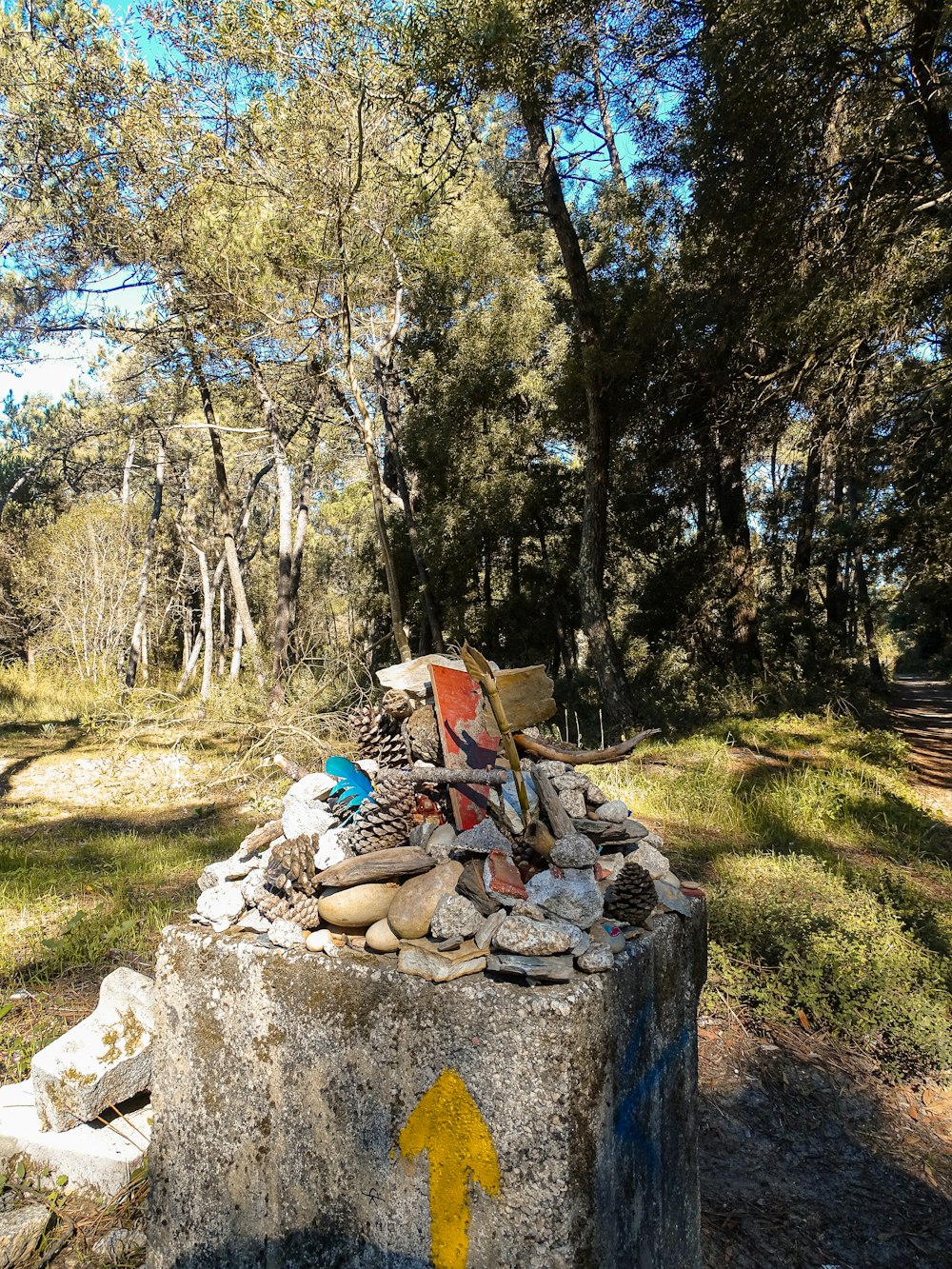 a pile of rubble sitting in the middle of a forest