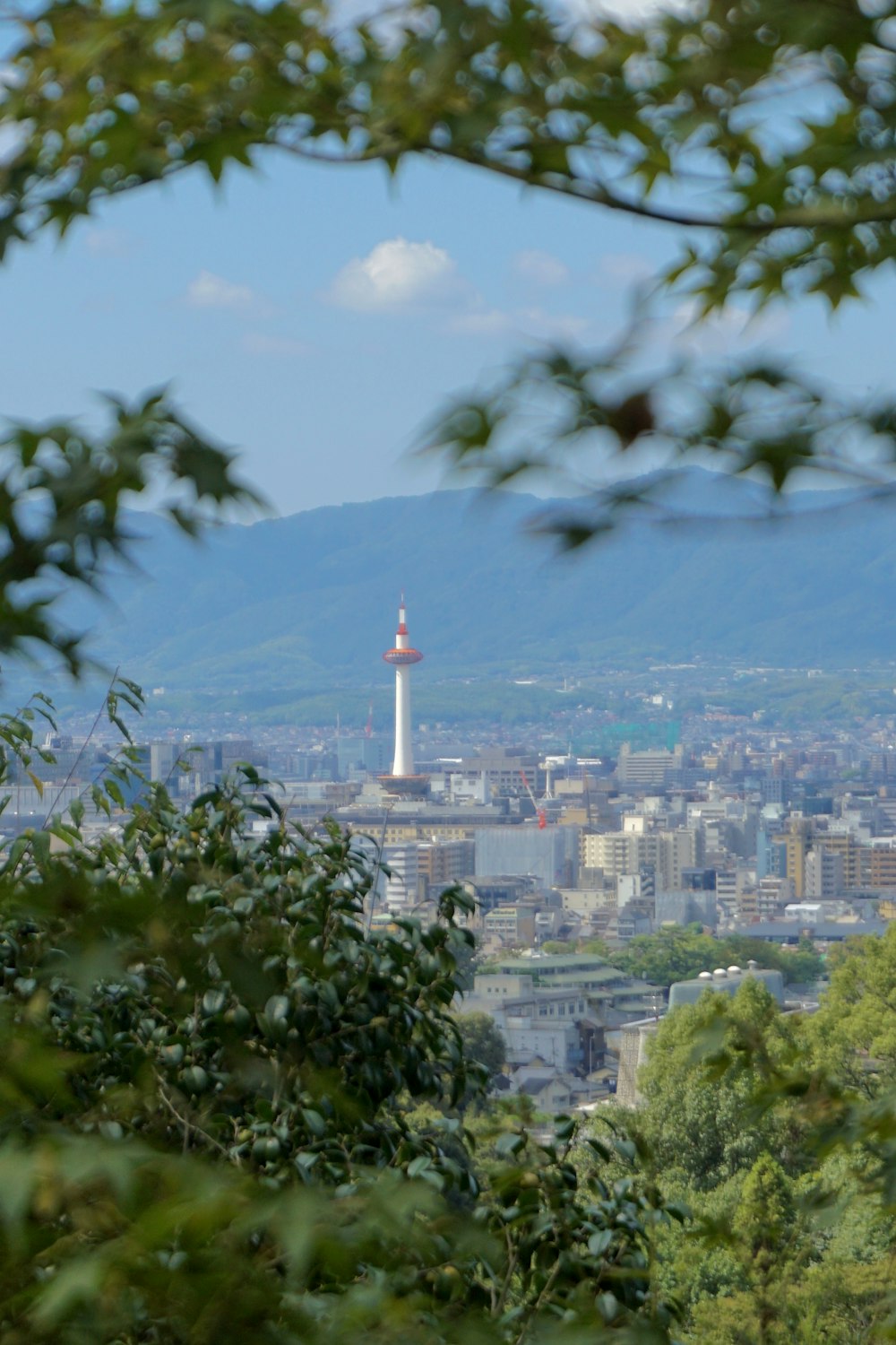 a view of a city from a distance