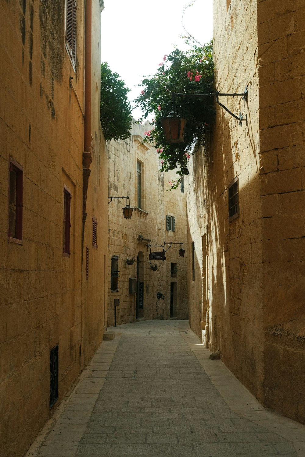 a narrow alley way with a potted plant on the wall