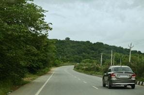 A Catskill Car Service vehicle driving along a winding road surrounded by lush green trees