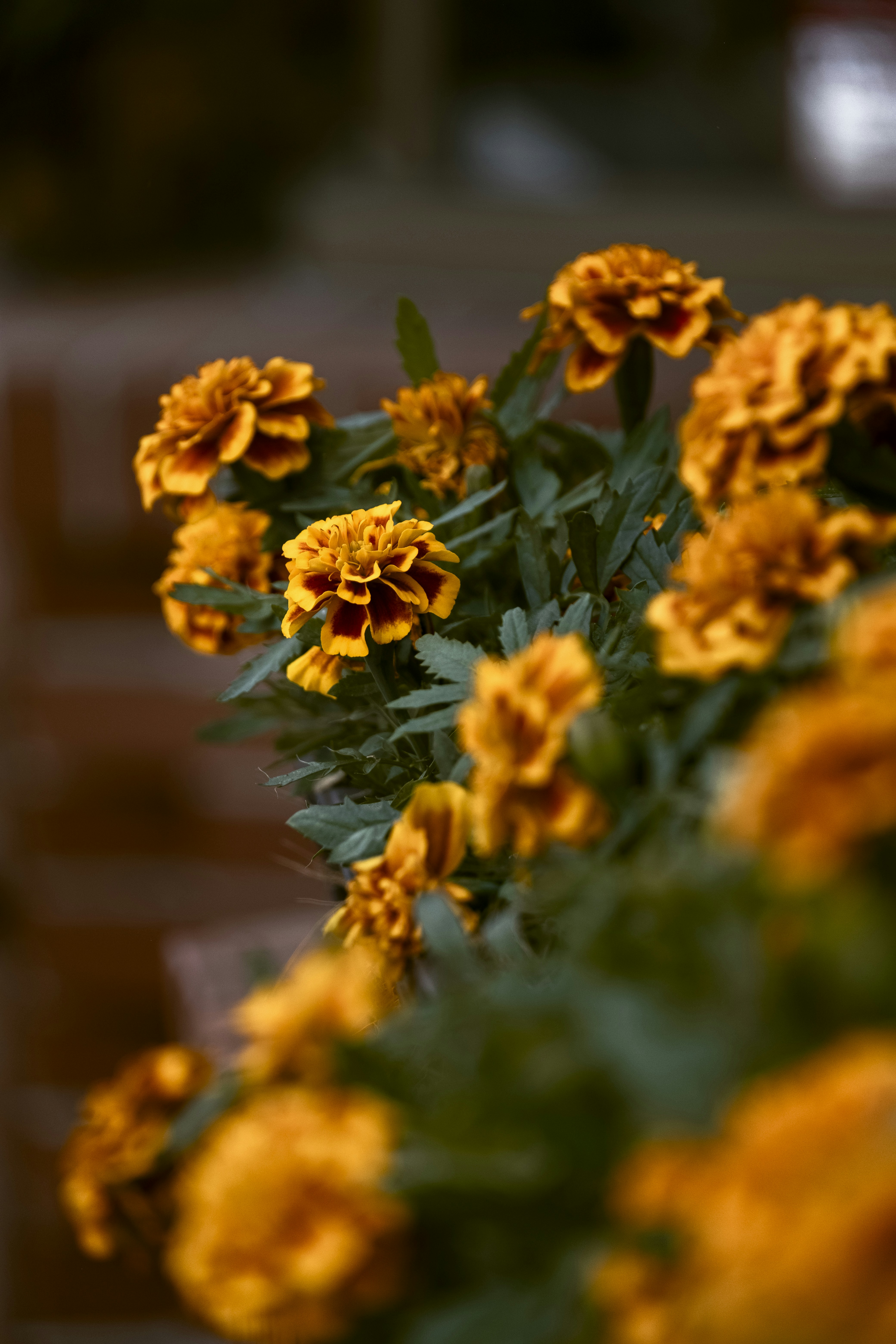 Photo by wenhao_ruan