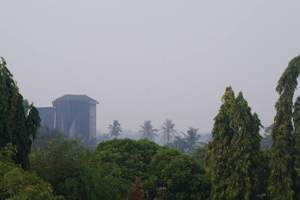 a view of trees and a building in the distance