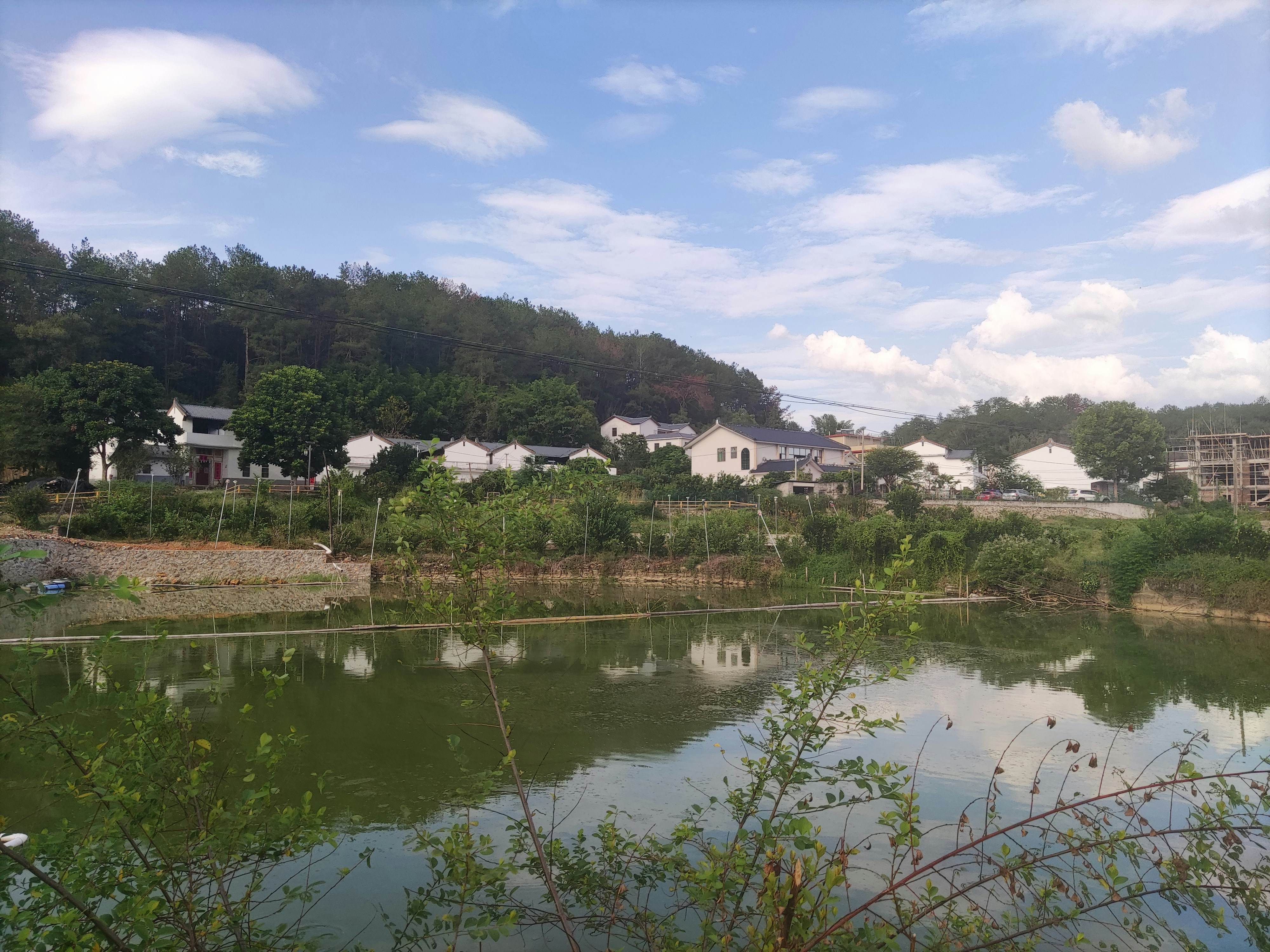 Photo by zwy_0206