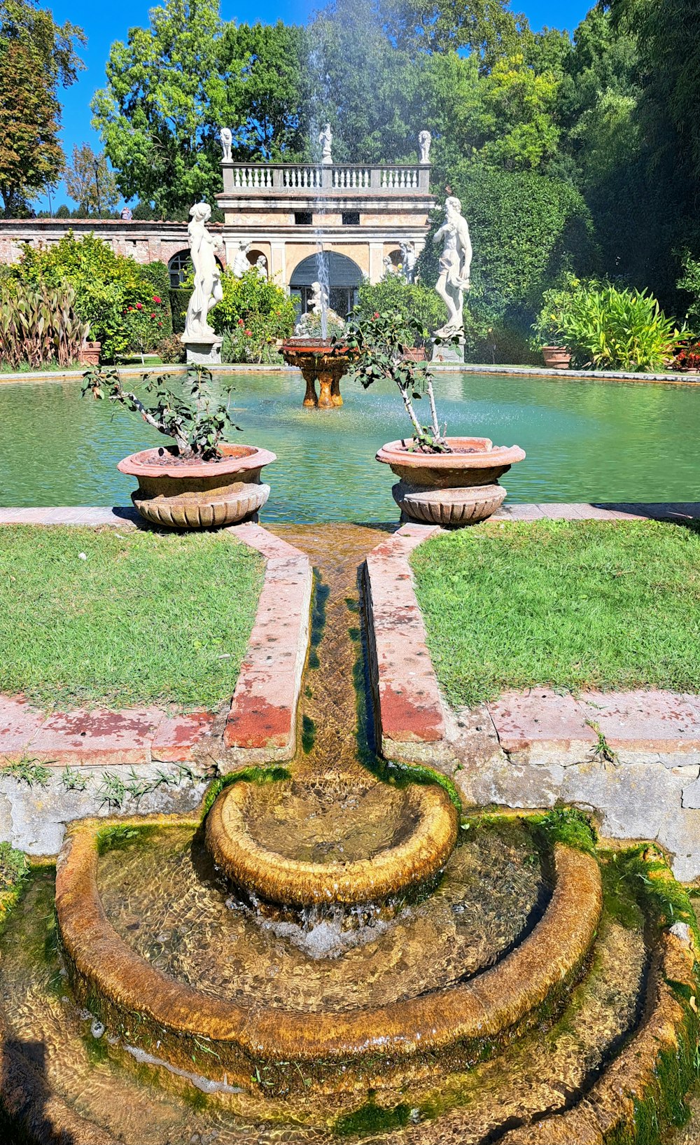 a fountain in the middle of a garden
