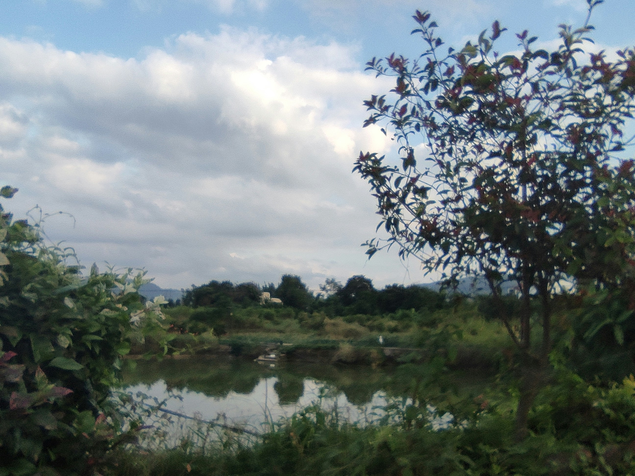 Photo by zwy_0206