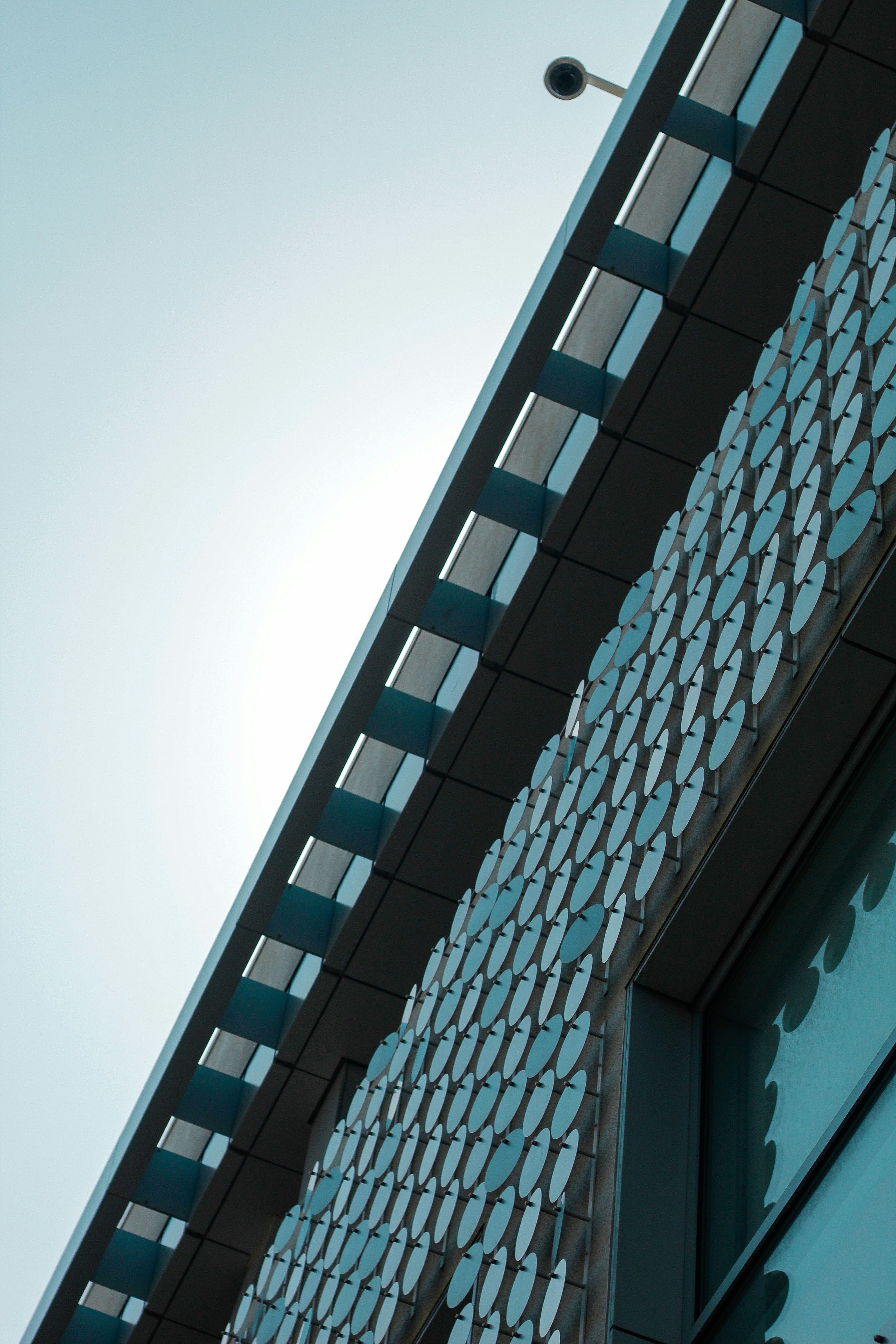 Photo by jaredballesteros