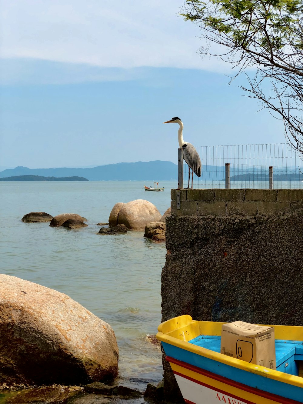 a bird is standing on a rock near a boat