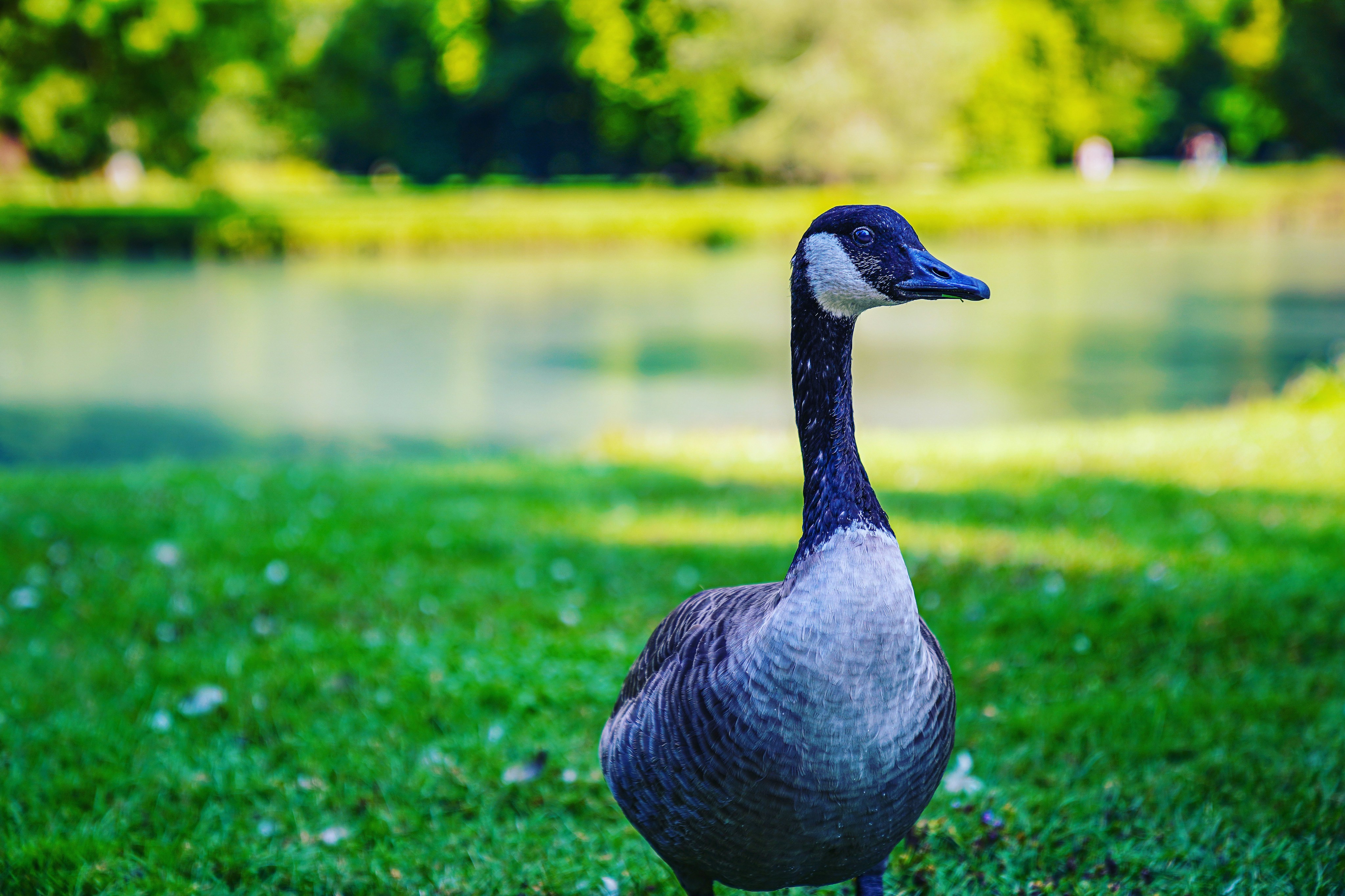 Photo by ballos_kratos