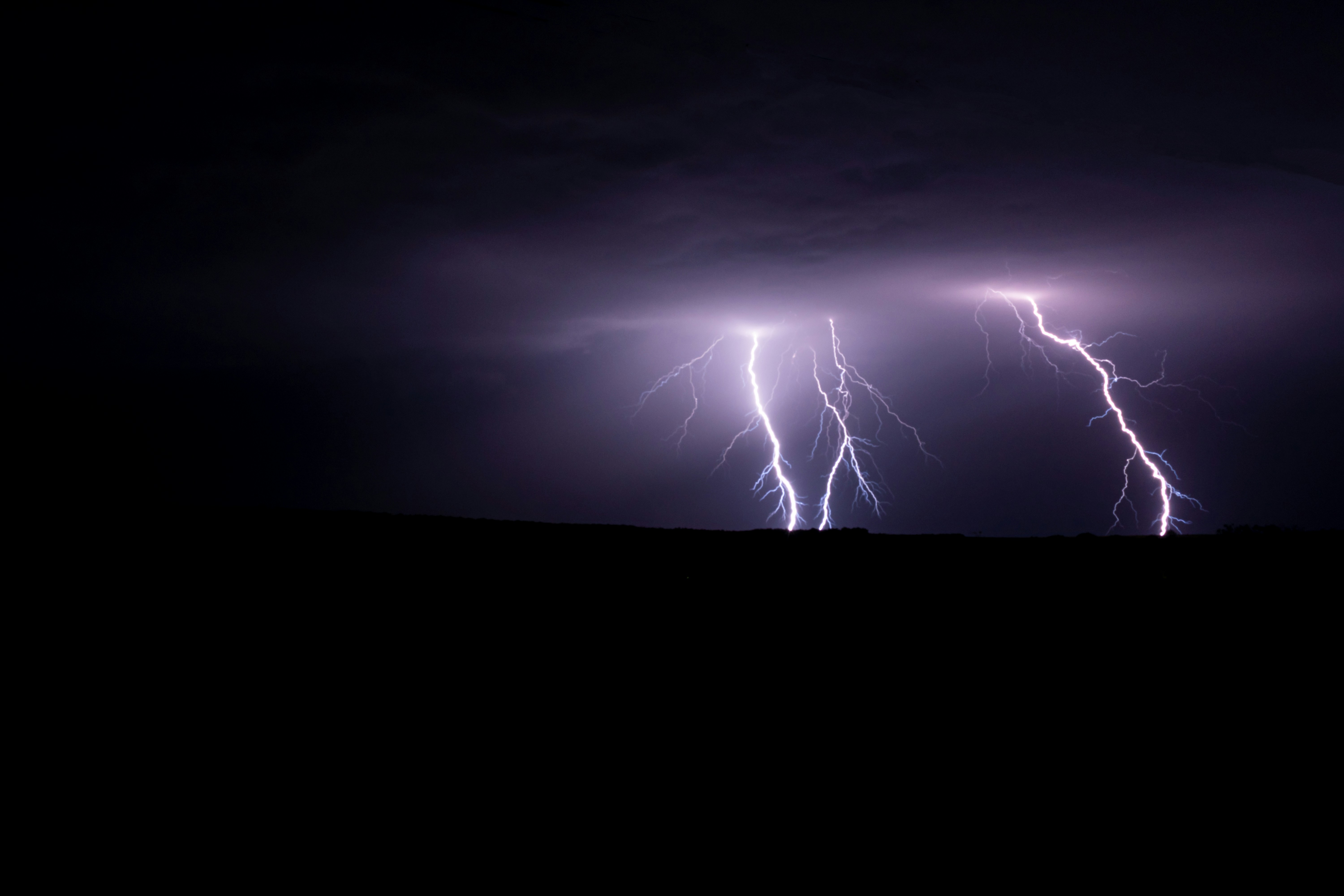 Photo by niki_emmert