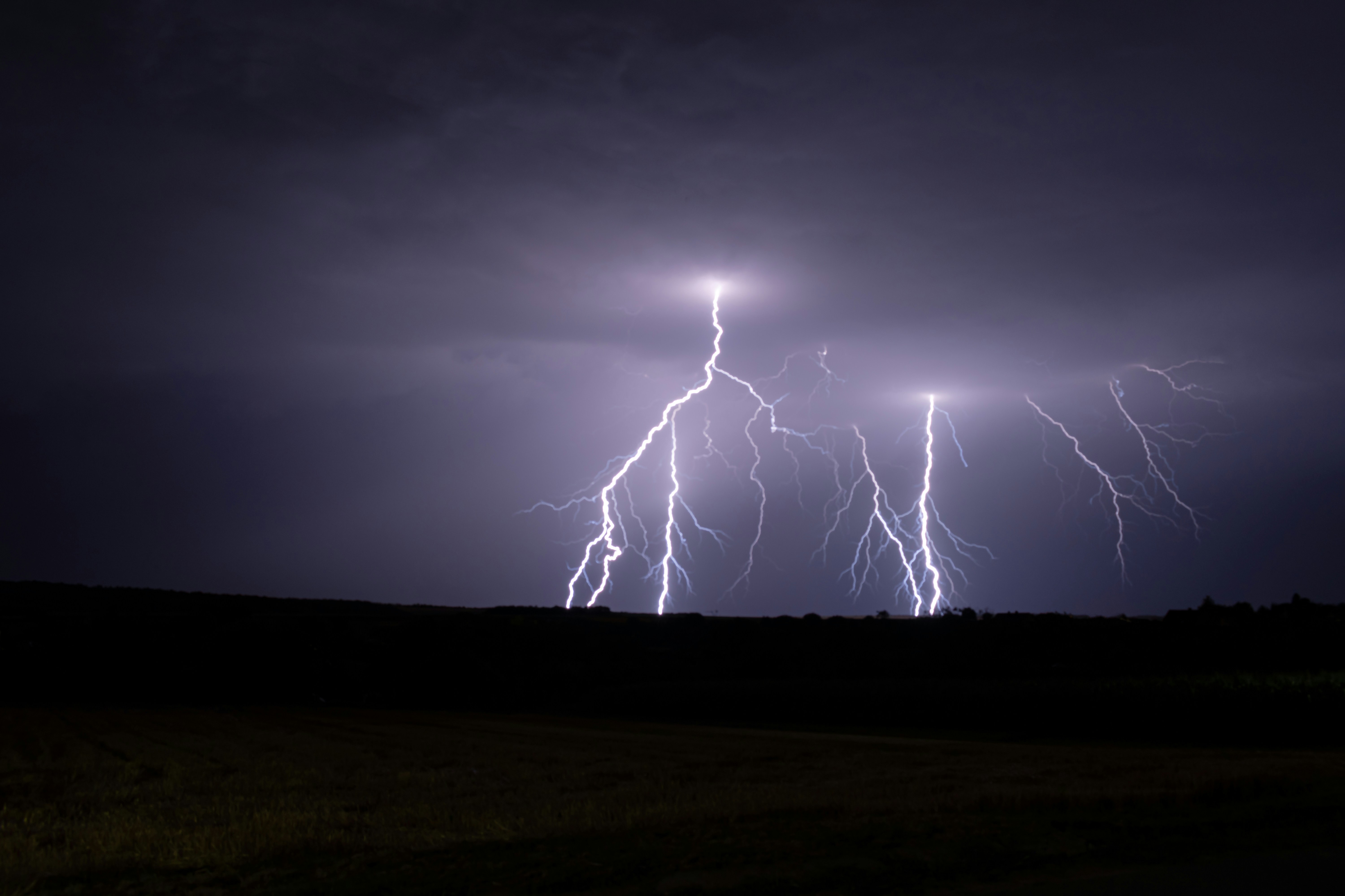 Featured image of post gemini-cli