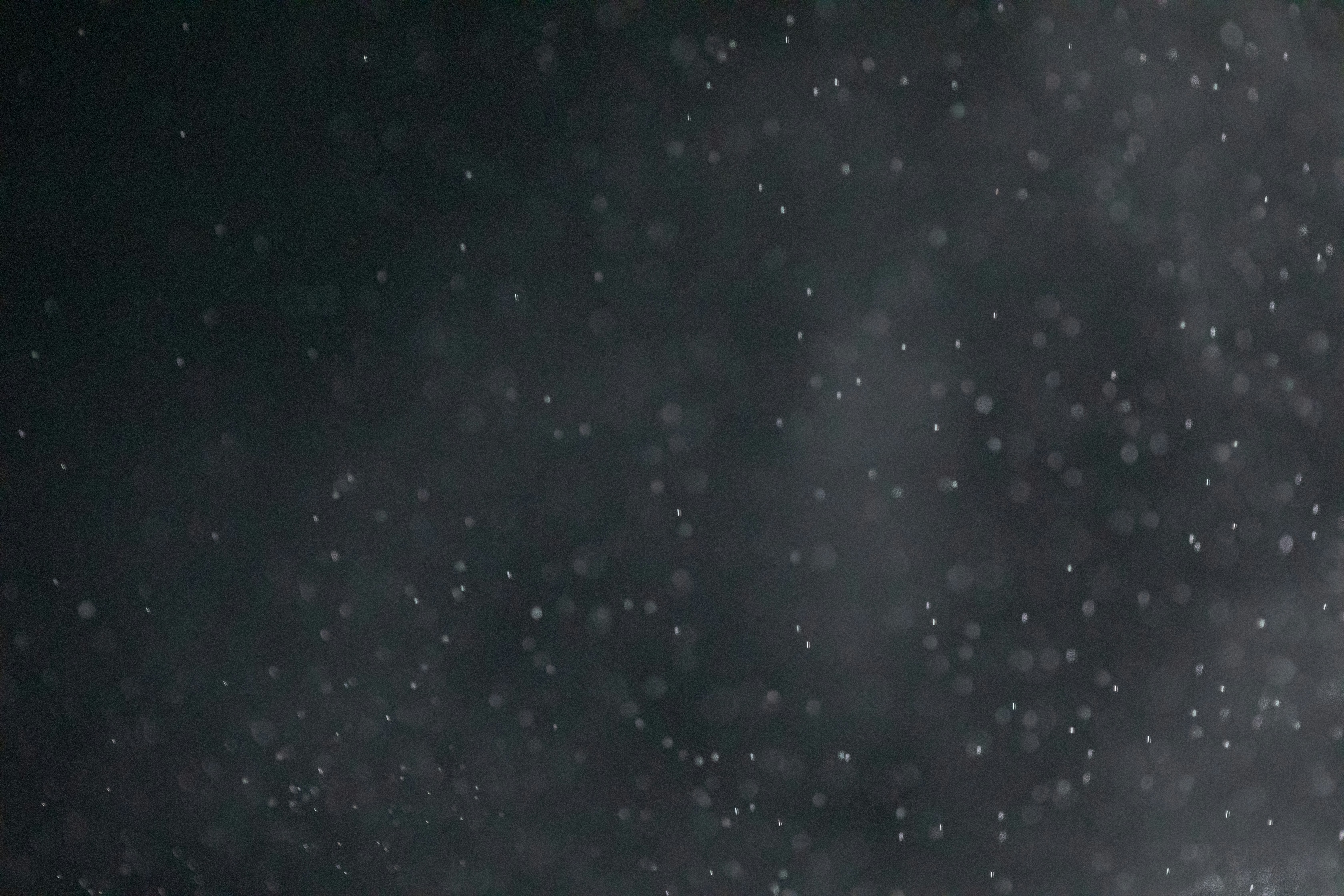 Photo by ovidiugruescu