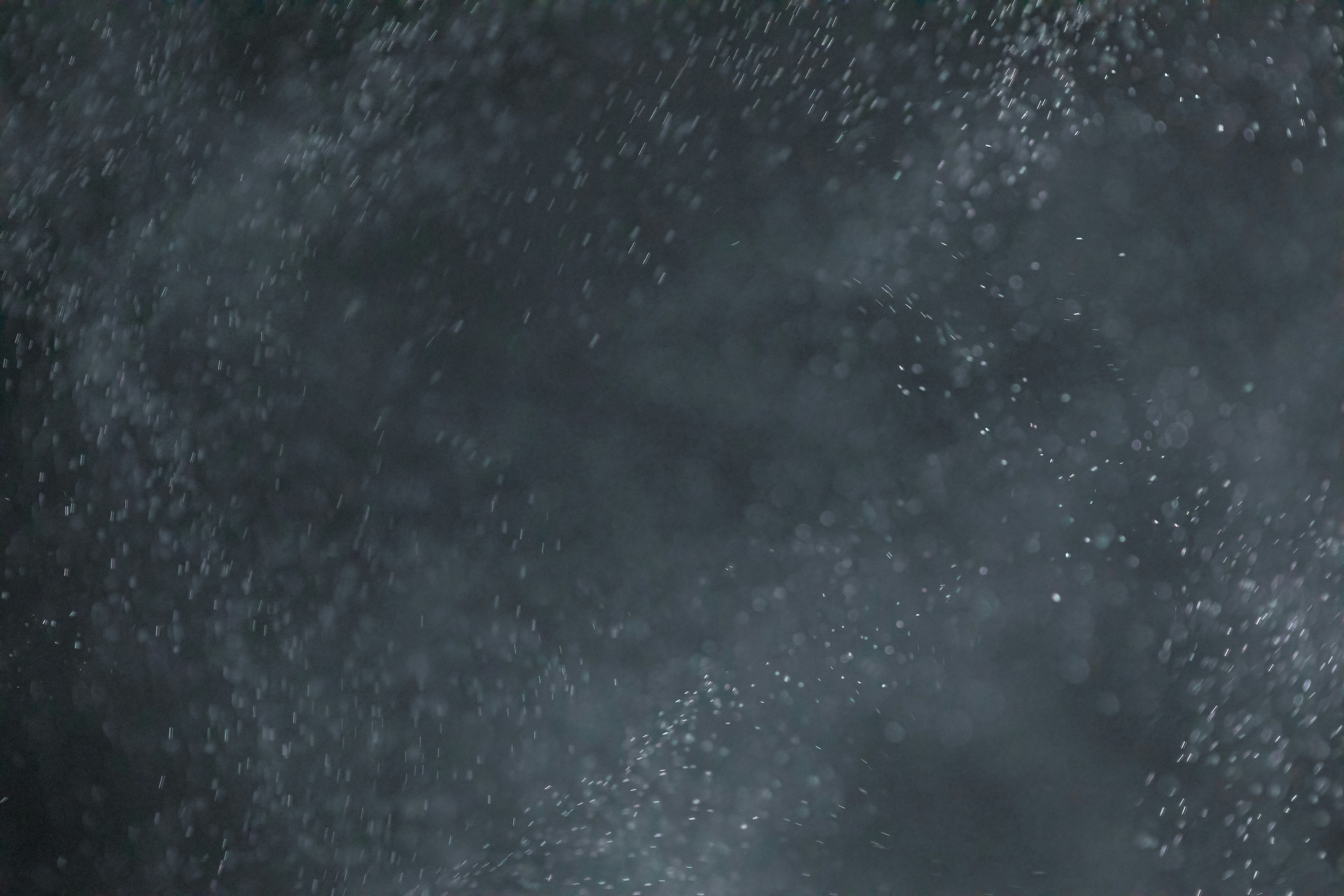 Photo by ovidiugruescu