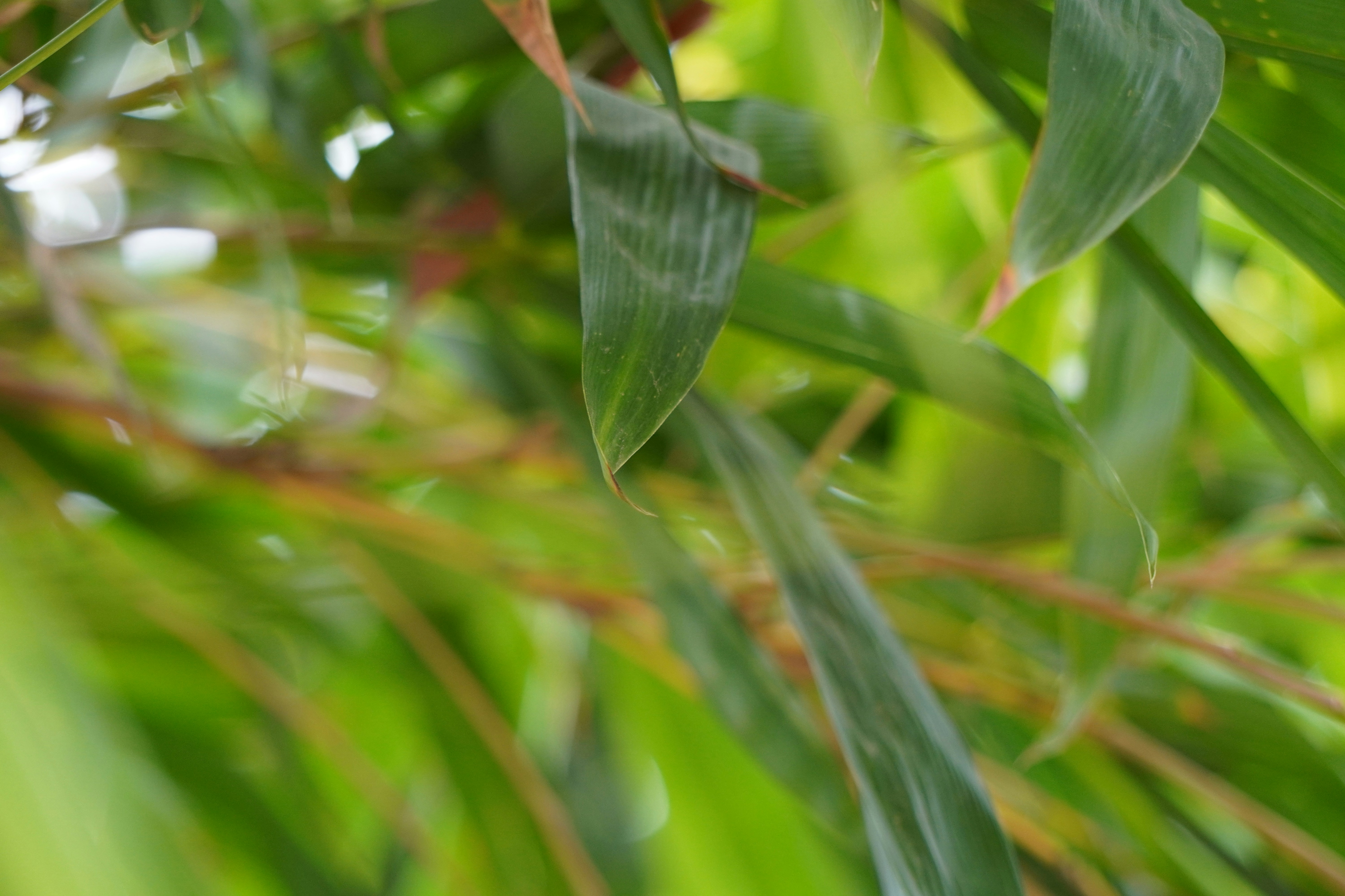 Photo by bhumikphotography