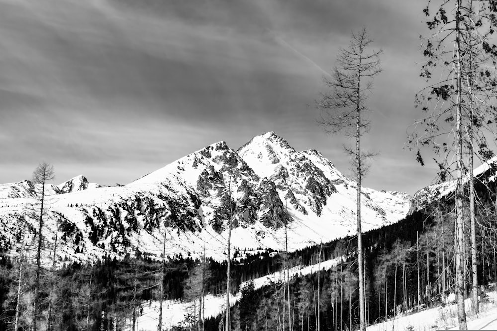 uma foto em preto e branco de uma montanha nevada