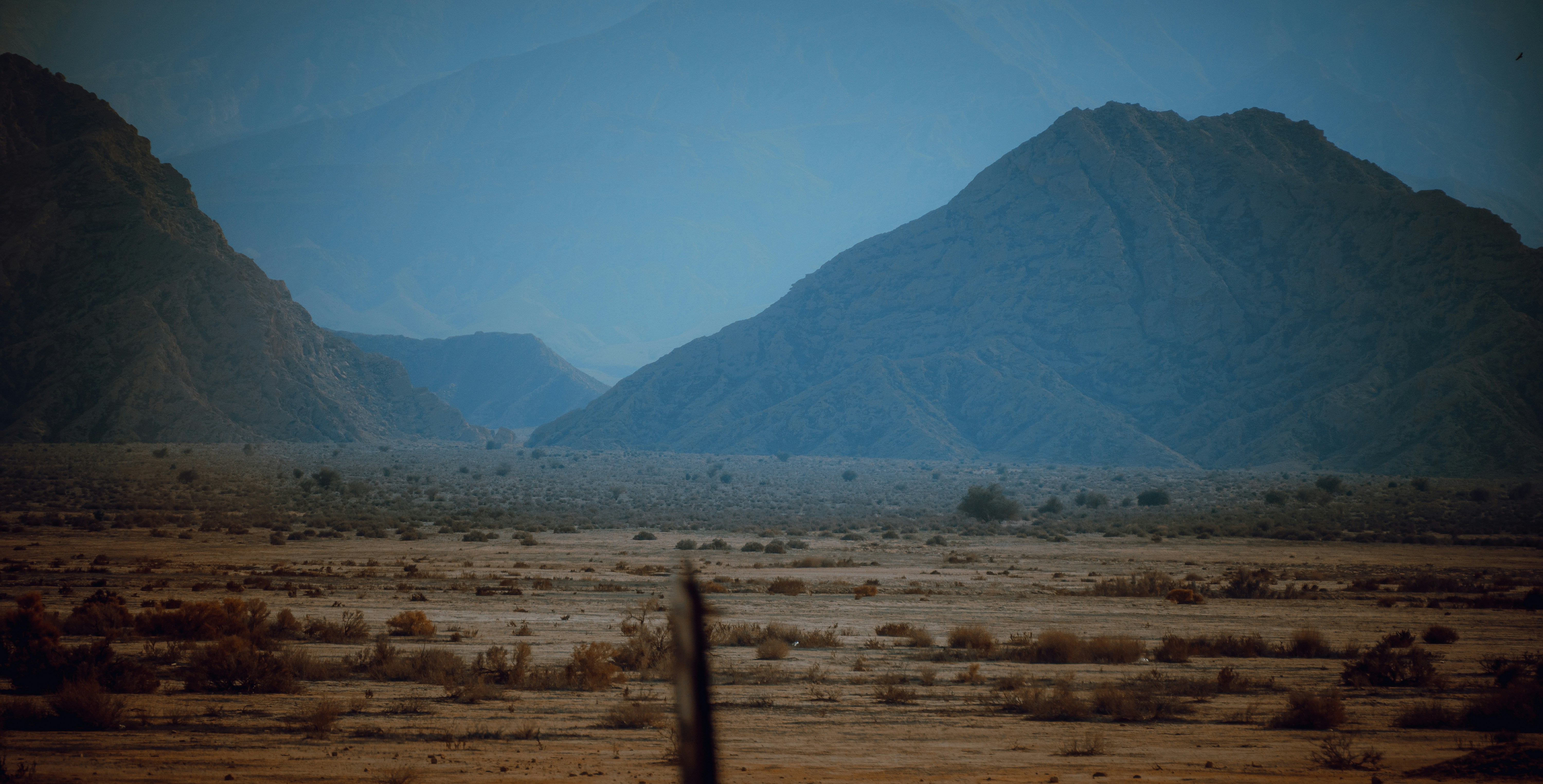 Exploring the Vastness of the Sahara Desert