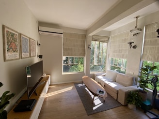 A modern living room with pleated insect screens on the windows.