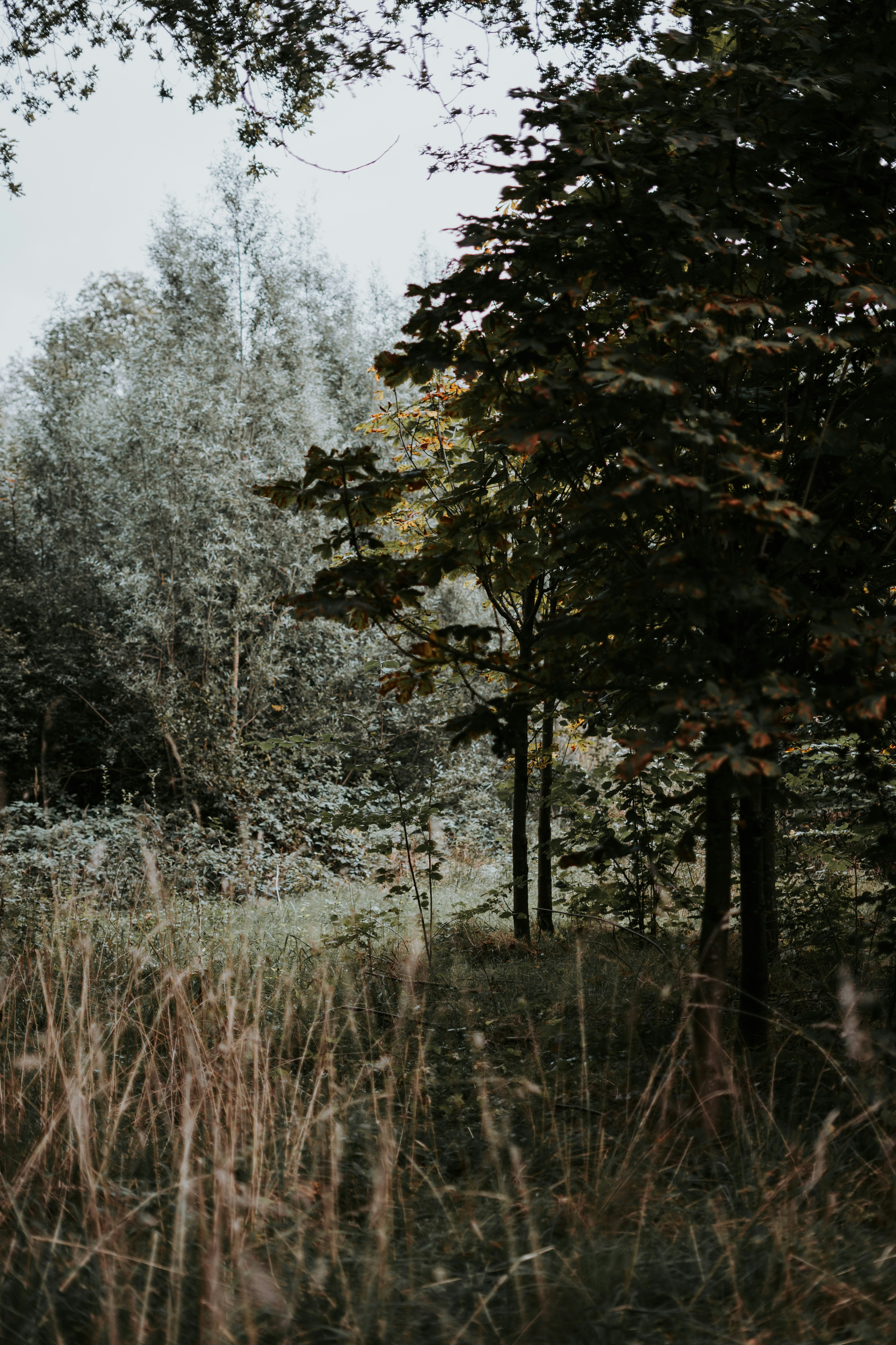 Photo by equi_dietetics