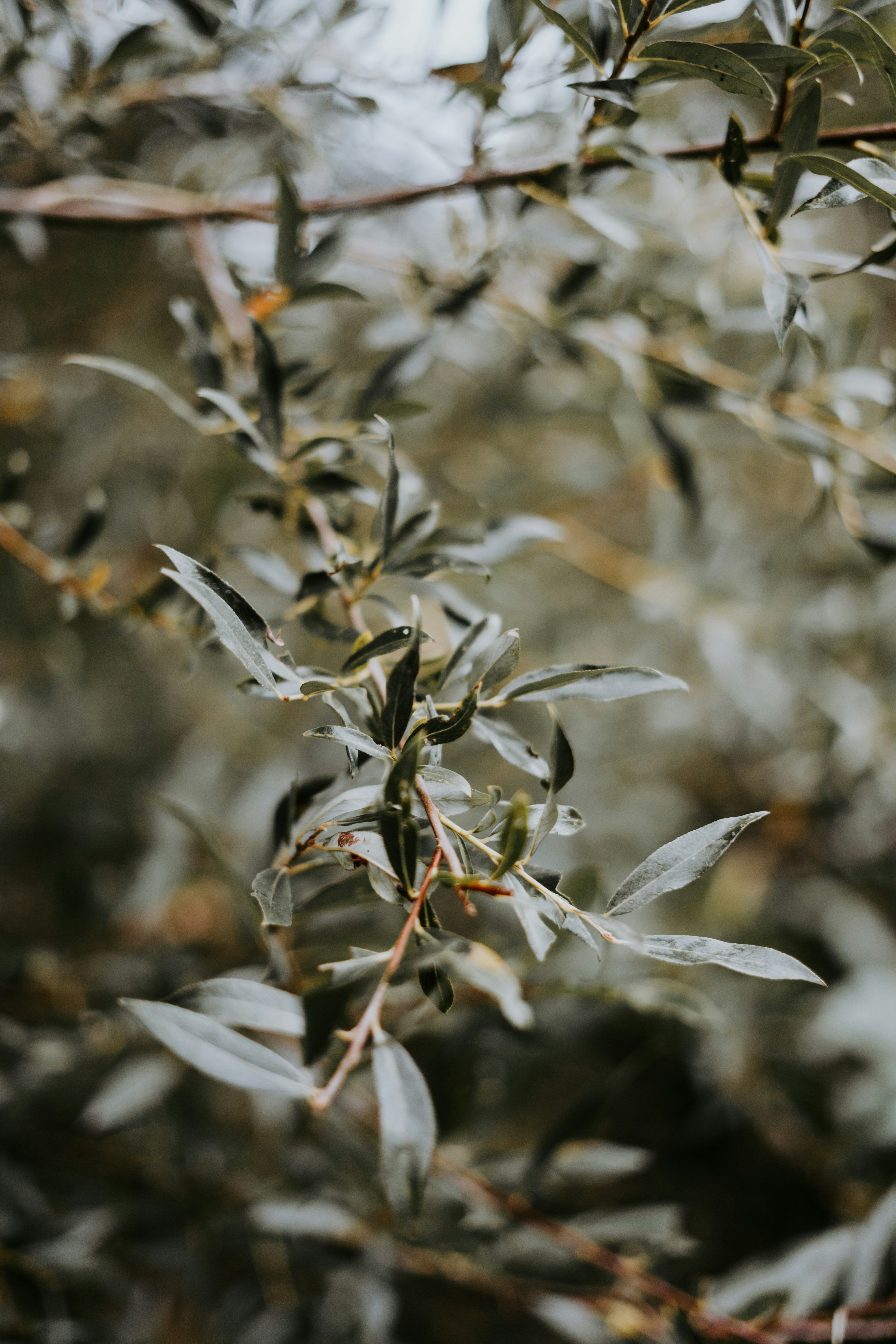 Photo by equi_dietetics