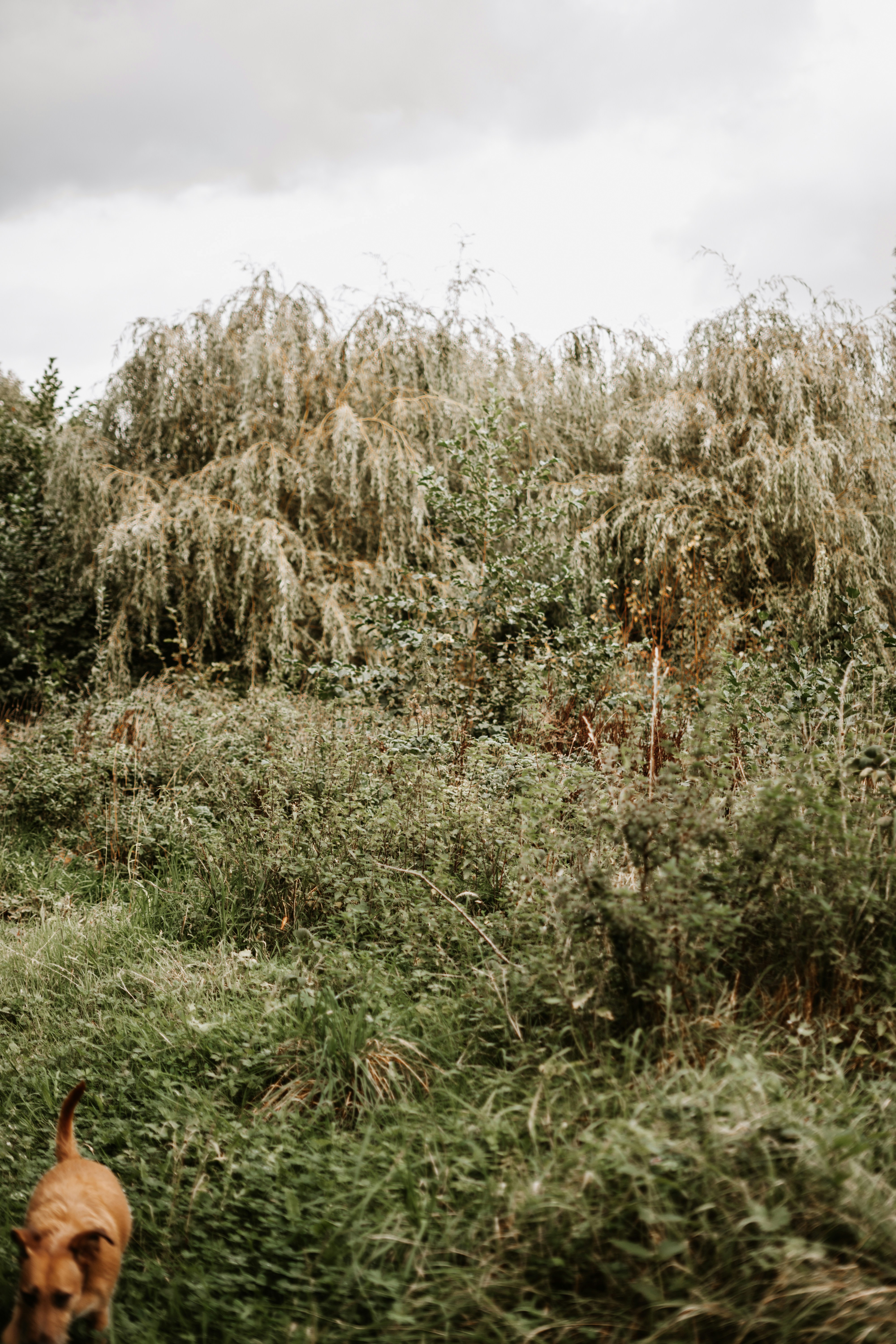 Photo by equi_dietetics