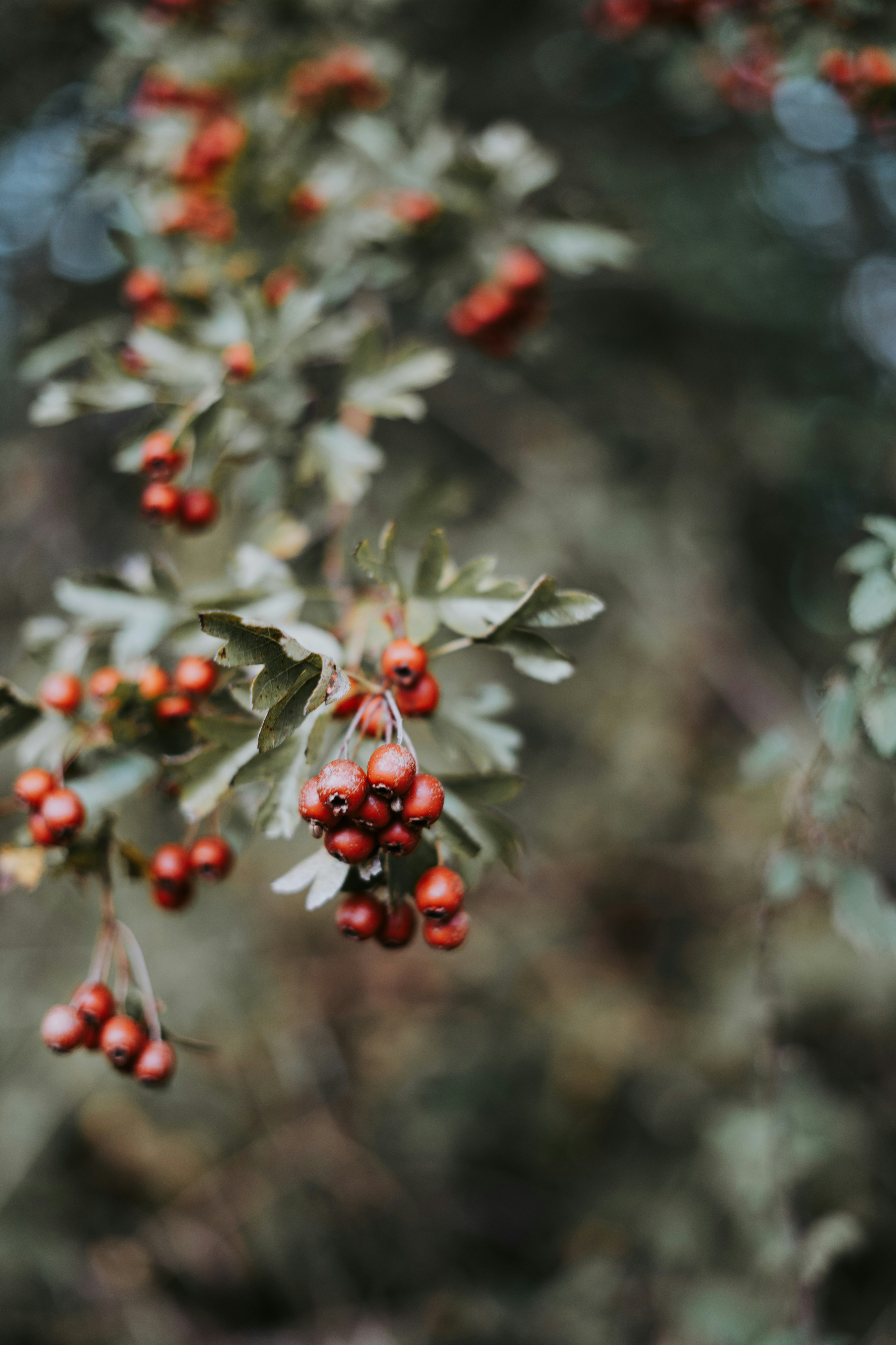 Photo by equi_dietetics