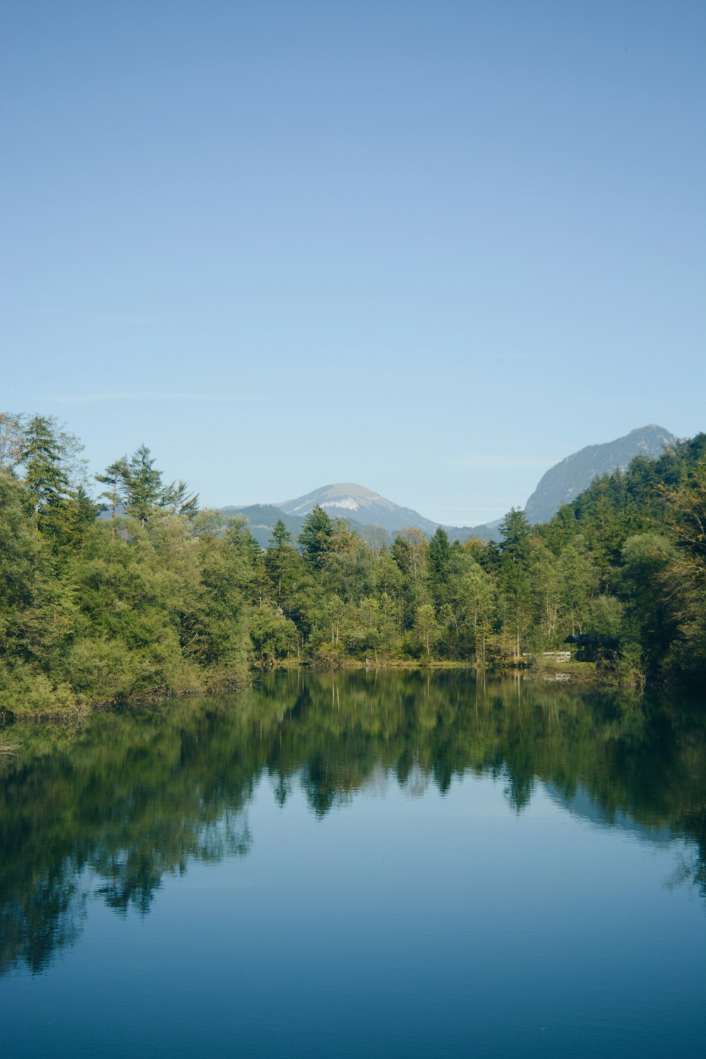 a body of water surrounded by trees and mountains