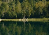 Guests enjoying a peaceful moment in nature.