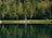 Couples enjoying a peaceful moment by a tranquil lake surrounded by lush greenery.