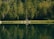 Couples enjoying a peaceful moment by a tranquil lake surrounded by lush greenery.
