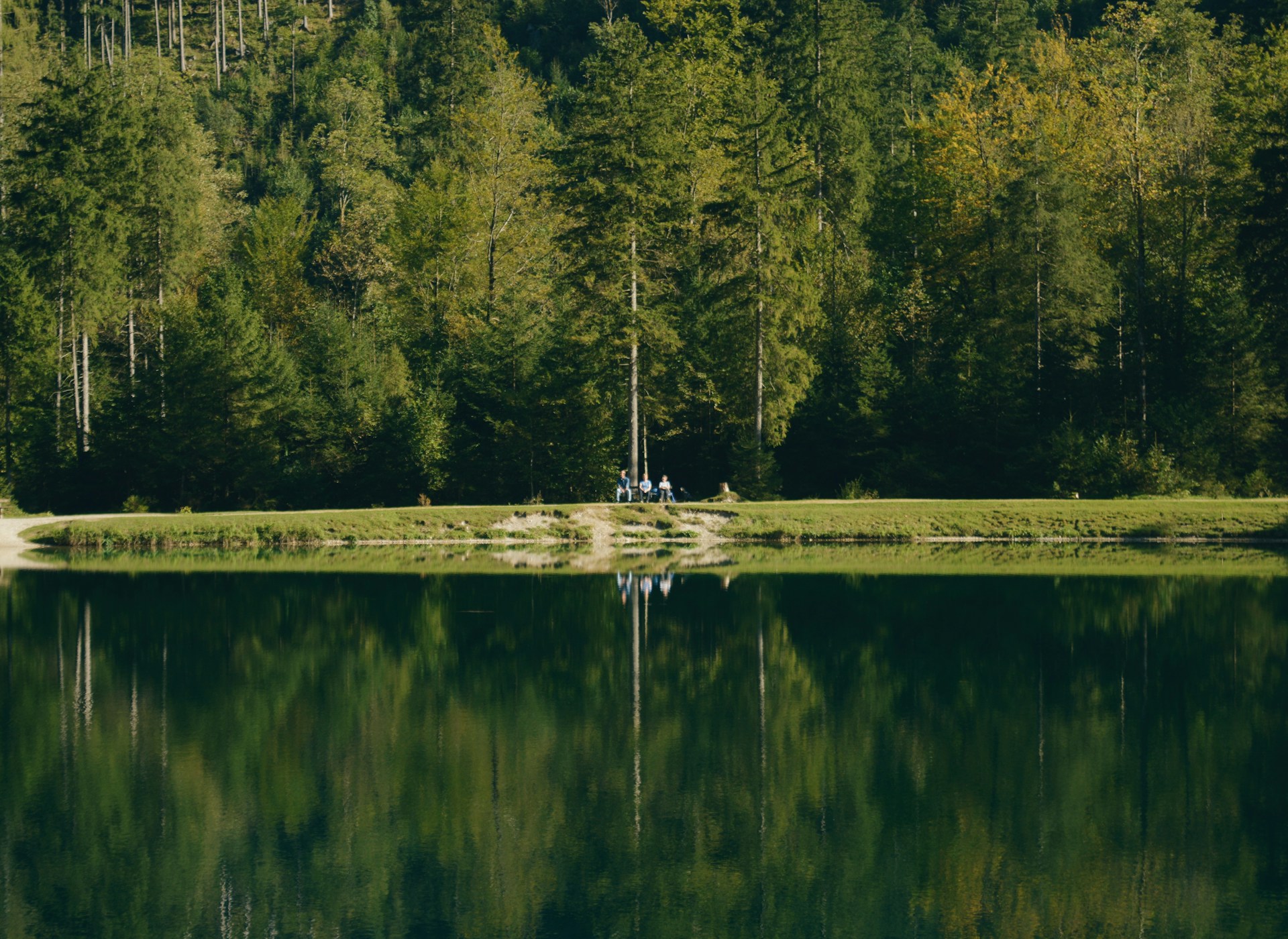 black and brown leather padded tub sofa