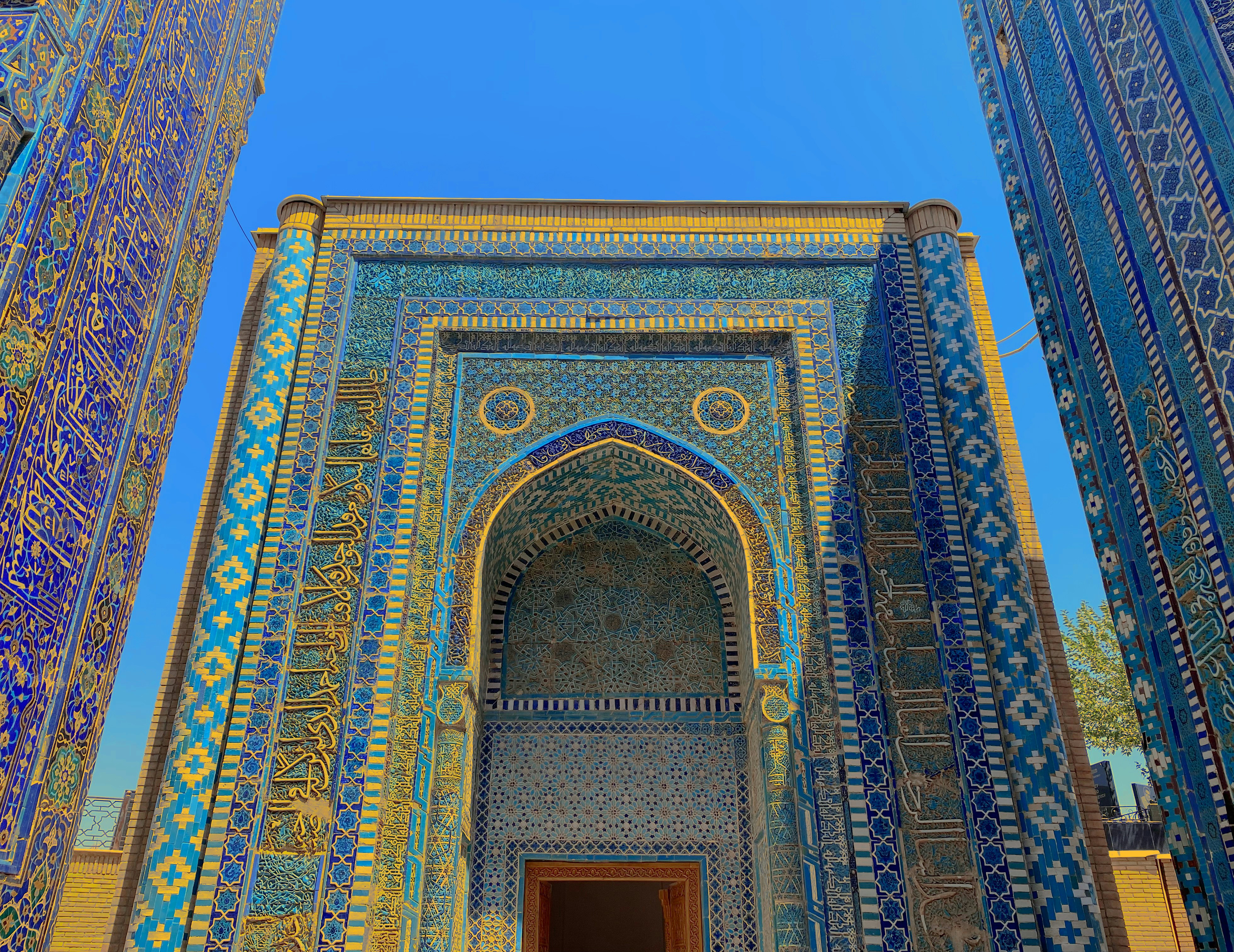 Photo by your_scorpion