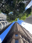 looking up at the top of a tall building