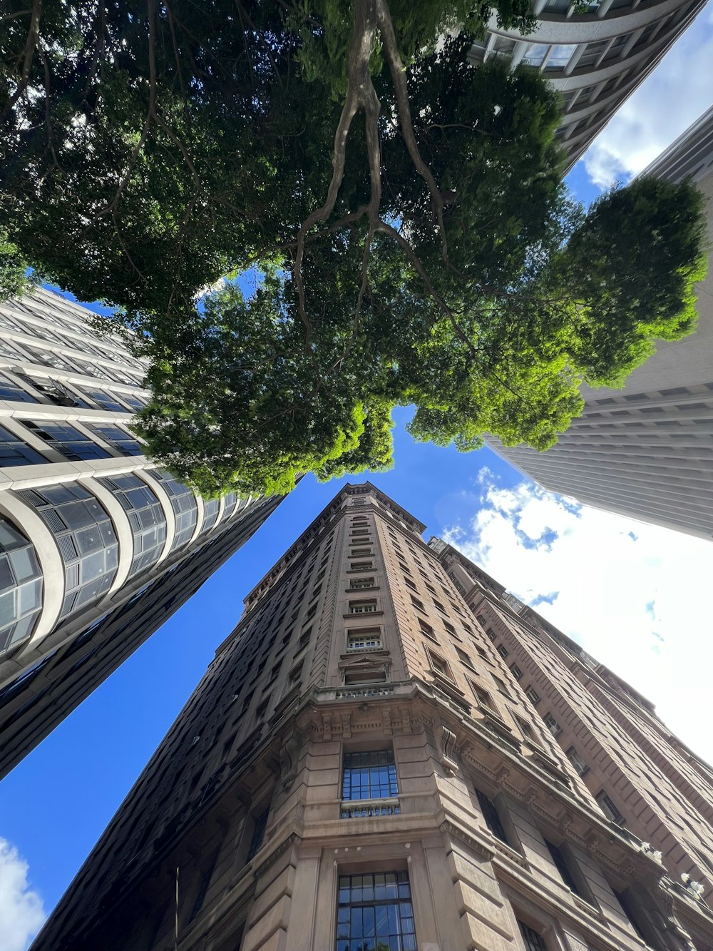 looking up at the top of a tall building