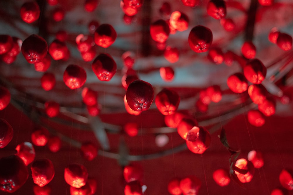 a bunch of red balls floating in the air