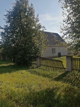 A house with a sloped roof is partially hidden behind tall, leafy trees. The house is made of light-colored bricks. A wooden fence runs along the property, some parts of which are slightly tilted, and the grass in the yard is lush and green.