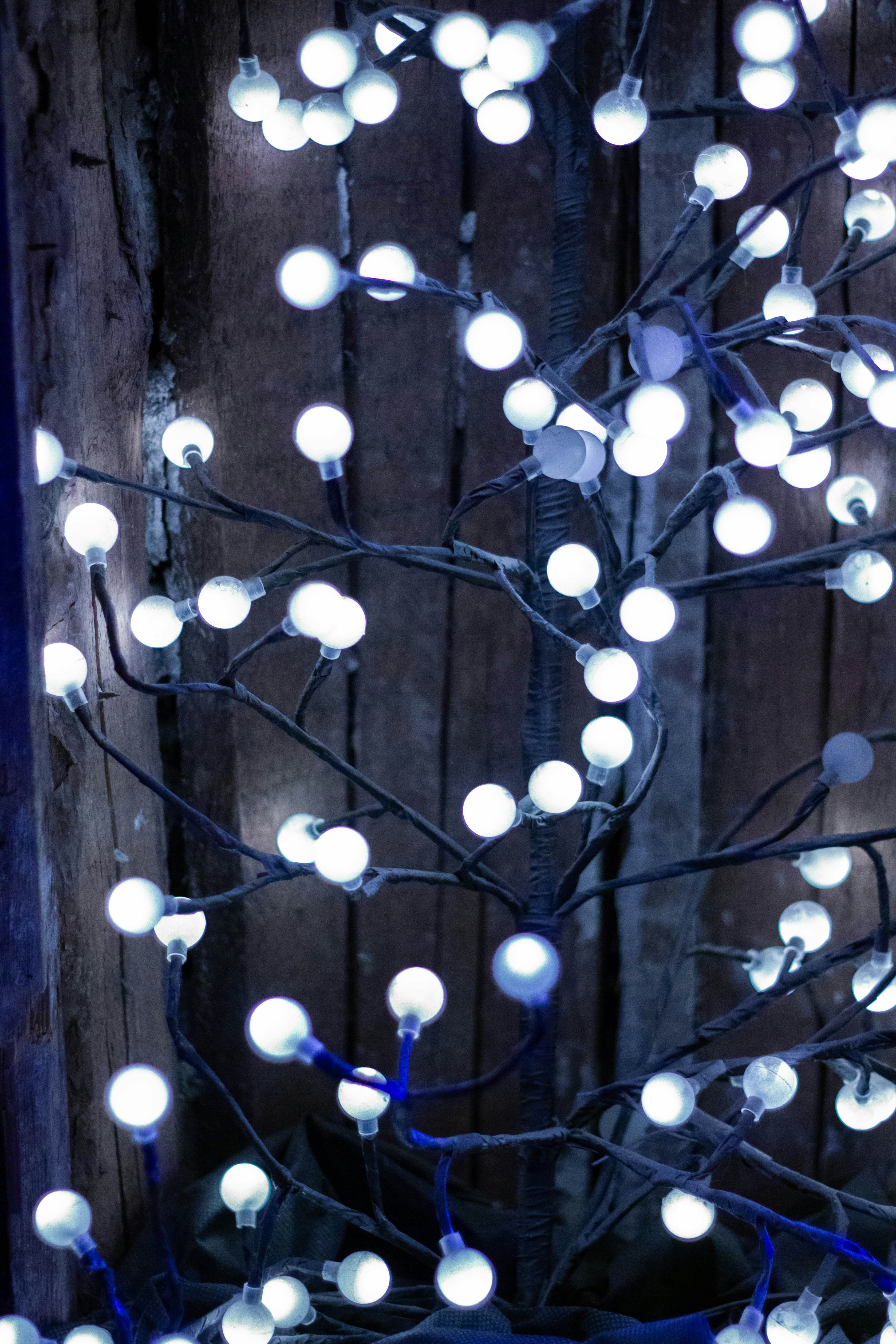 A lighted tree with white balls on it photo Free Garland lights Image