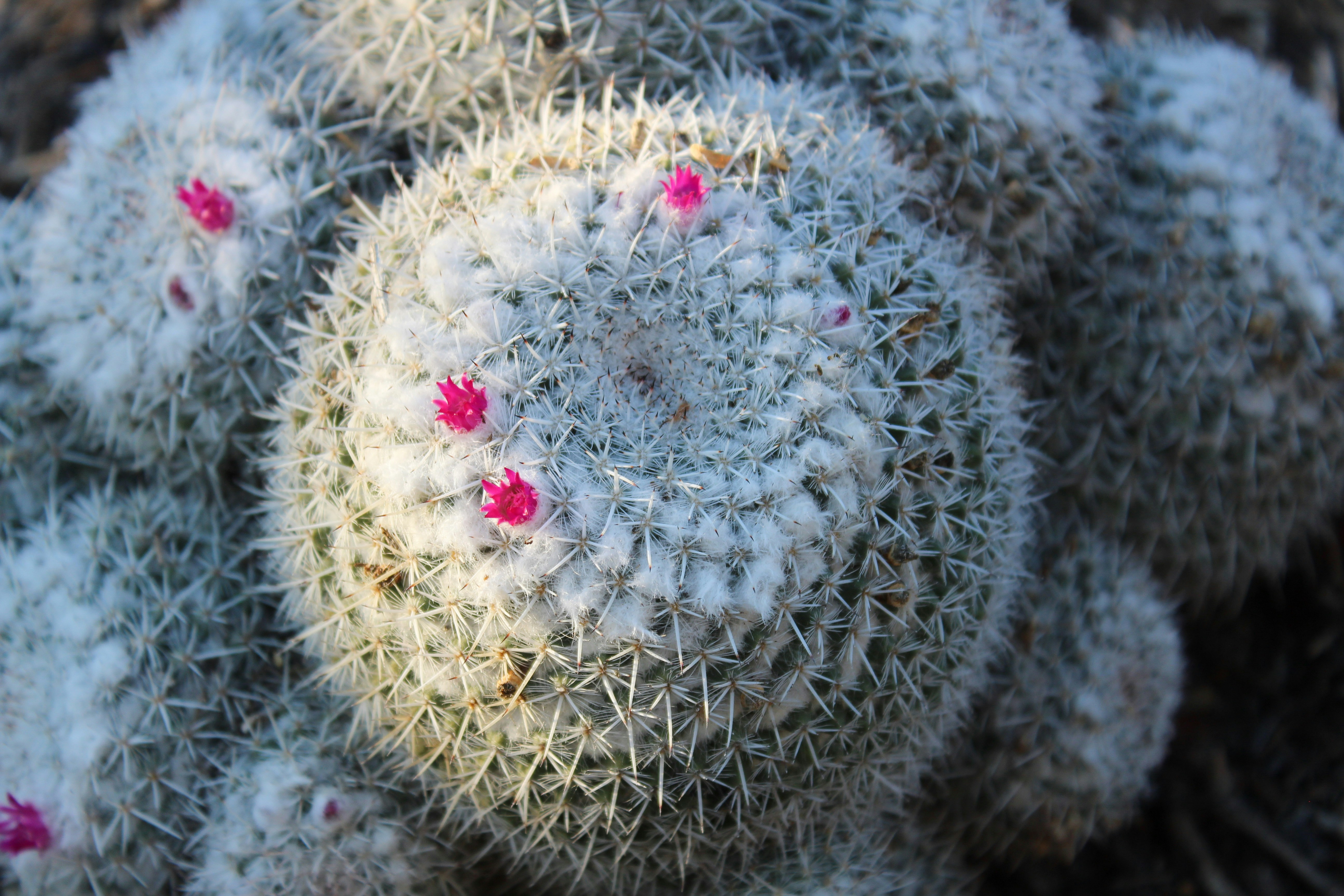 Courtney Michelle (@courtneymichelle) | Komunitas Foto Unsplash