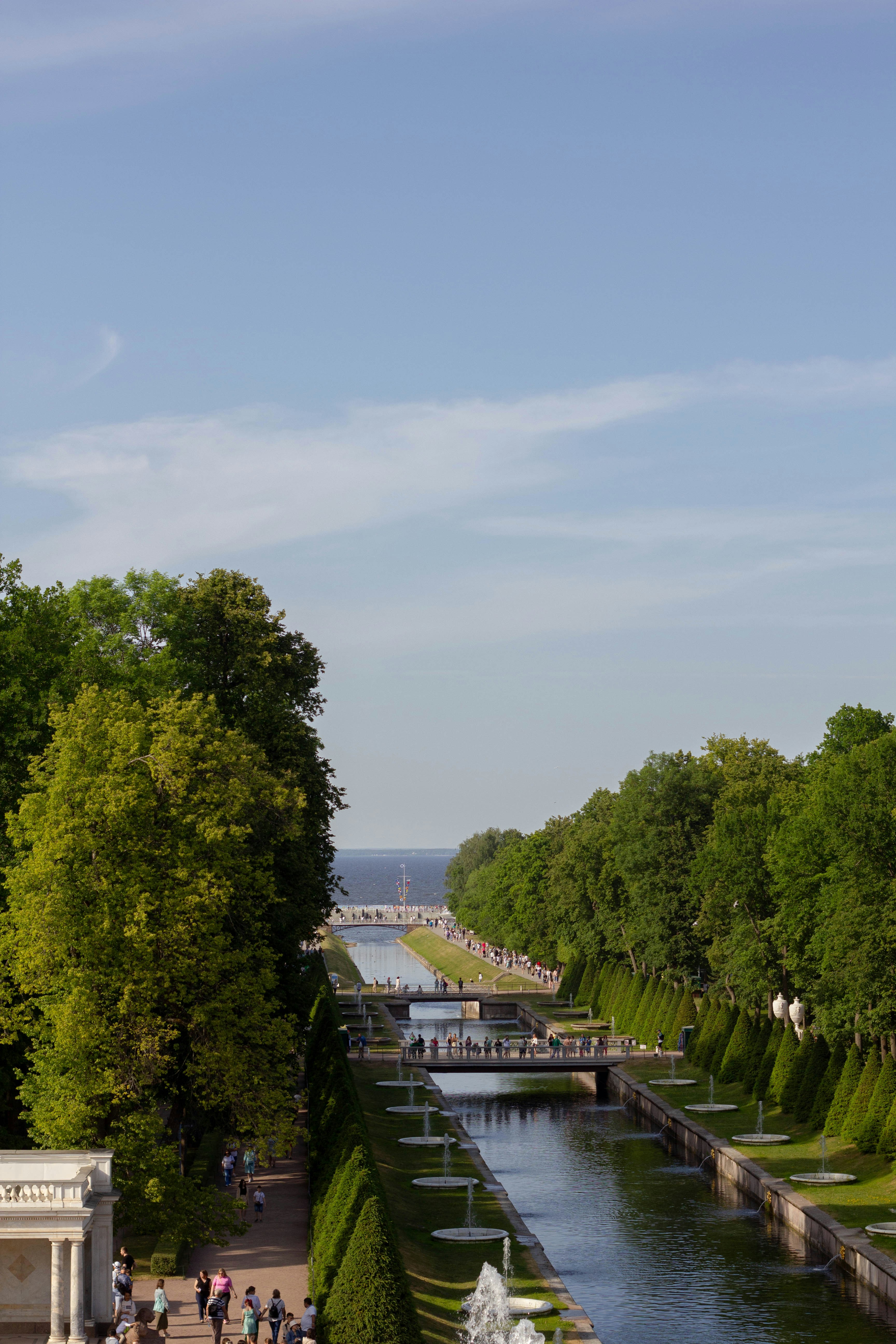 a river running through a park next to a lush green forest