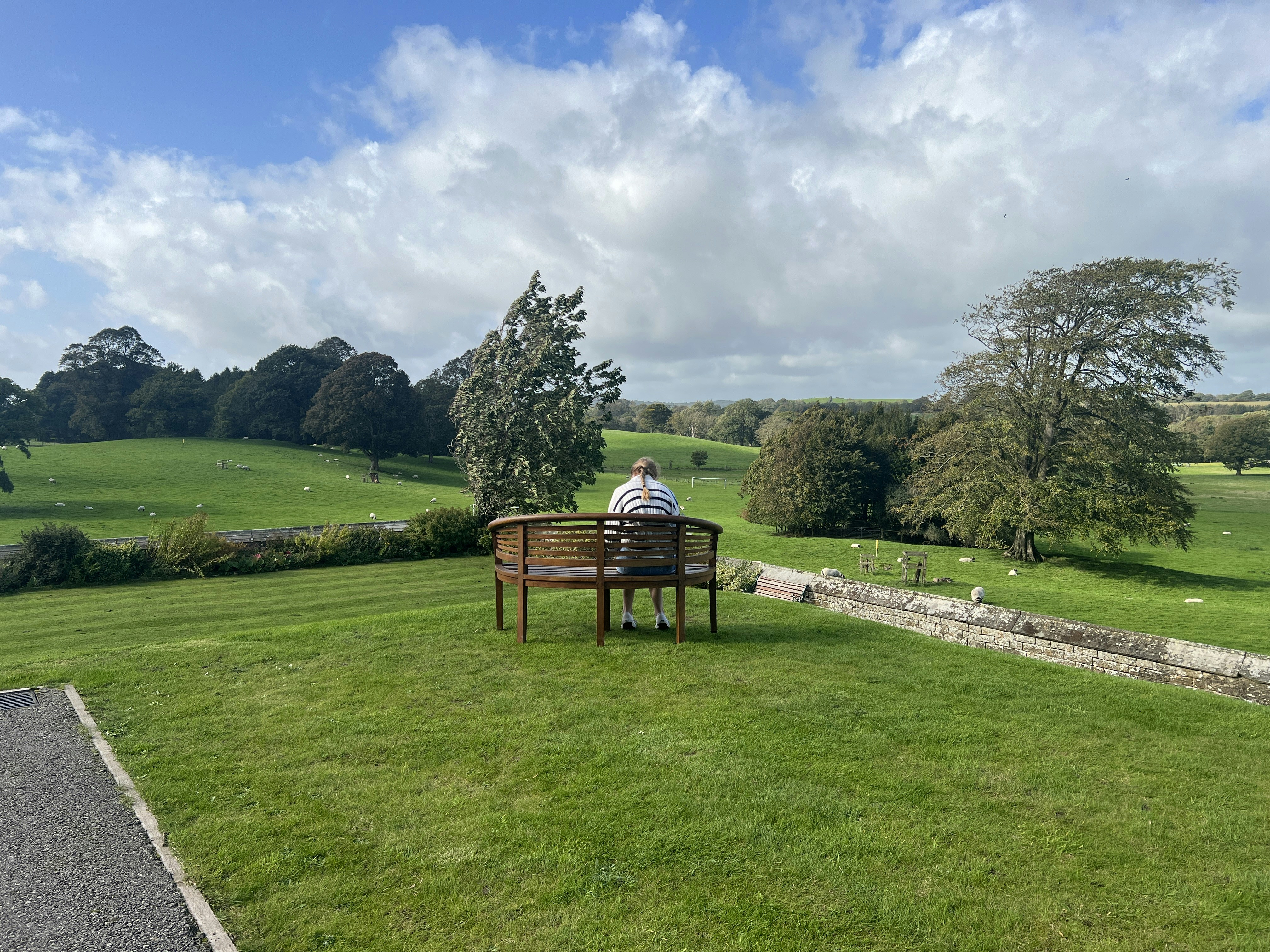 A man sitting on a bench in a park photo – Free Uk Image on Unsplash